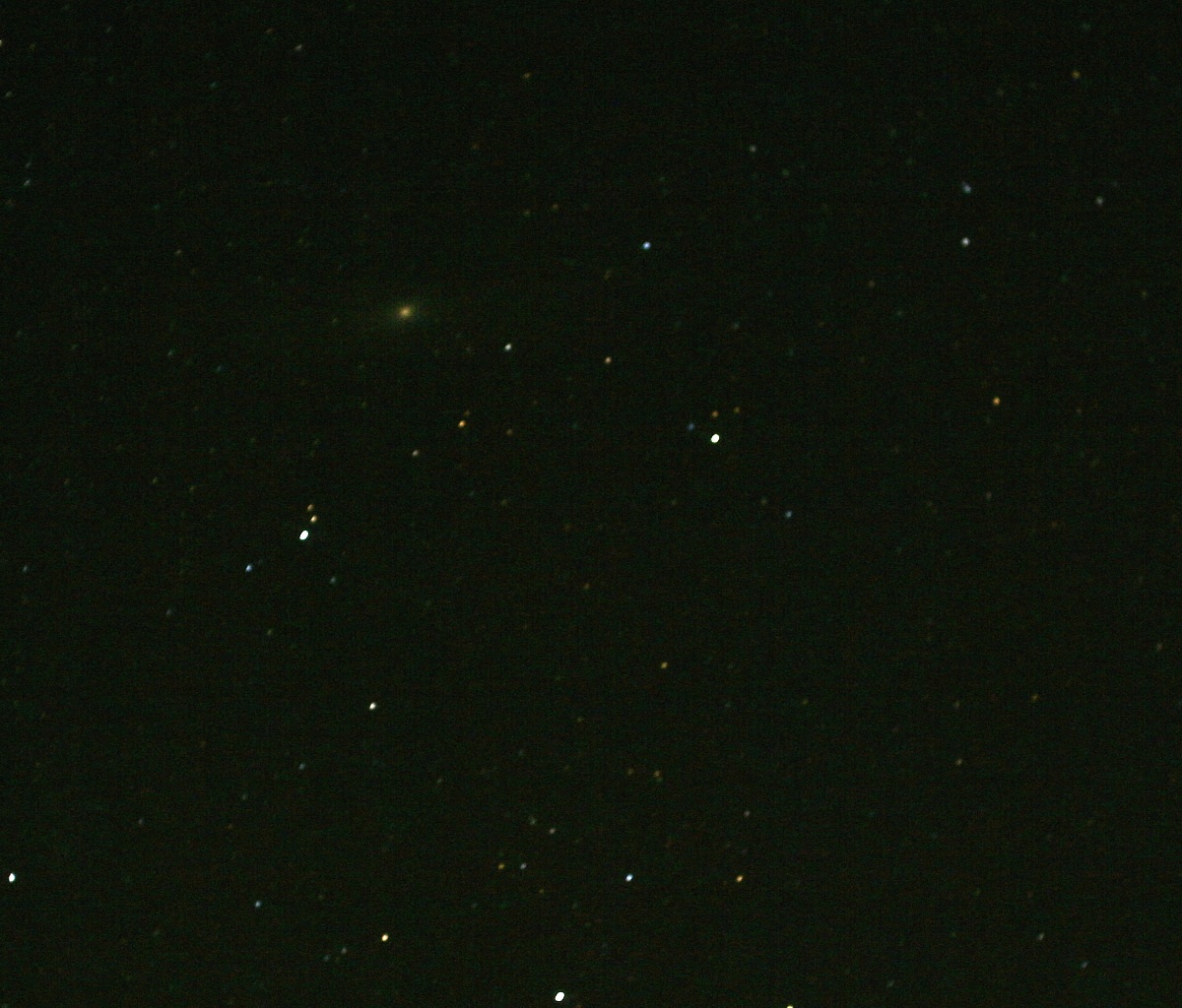 M 31