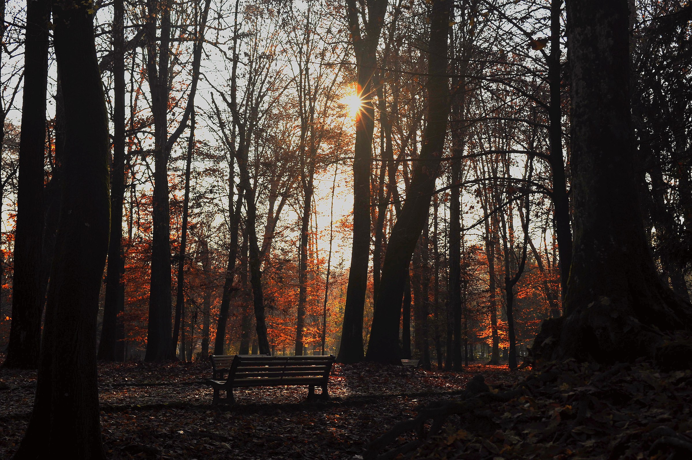 Monza Park, the Royal Gardens