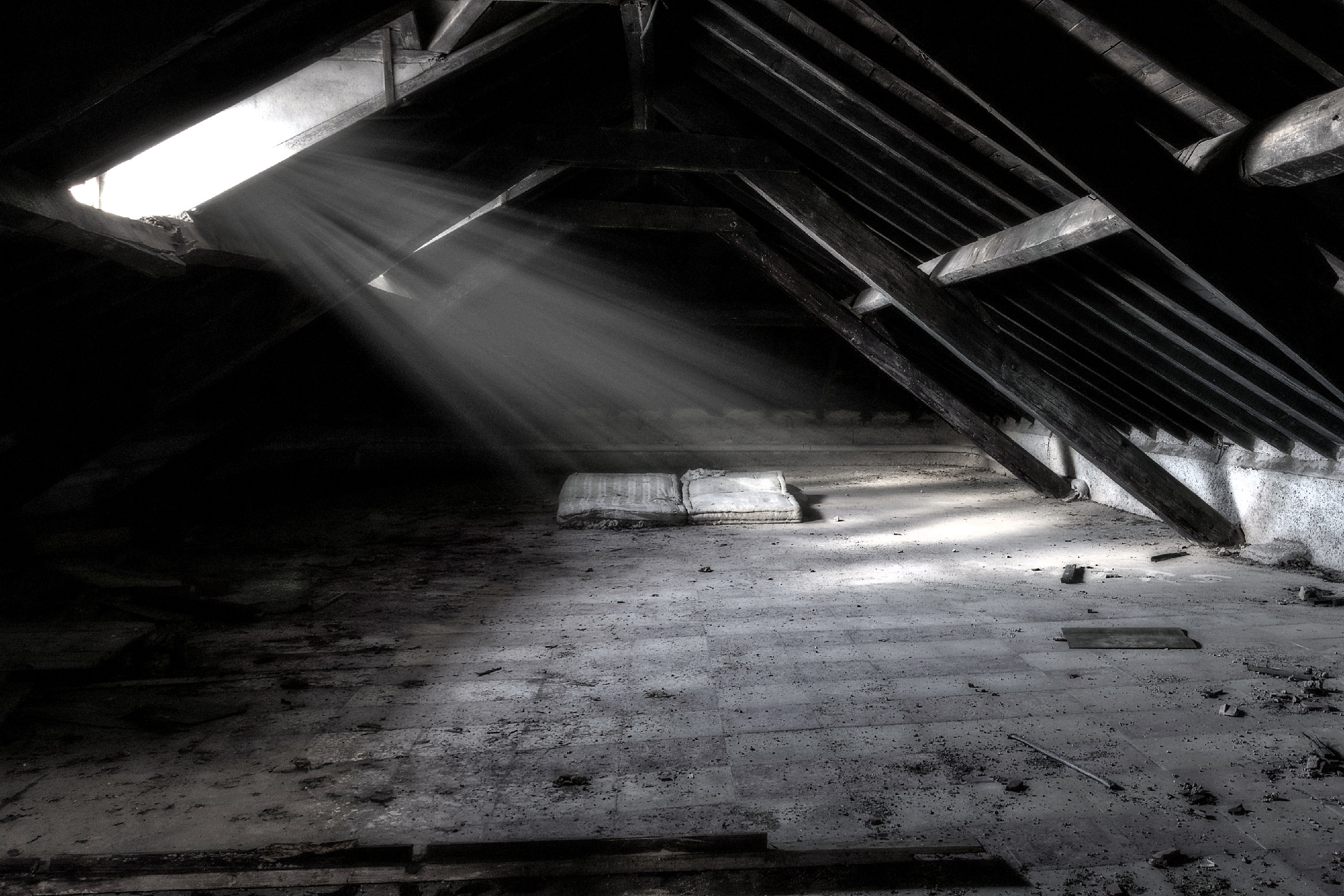 Che Creature Riposano Qui?