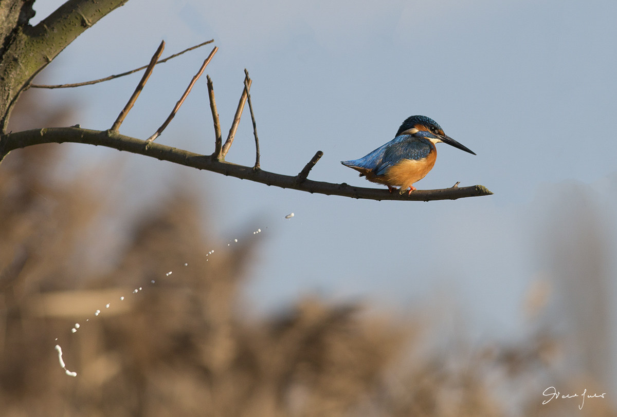 He too has his needs