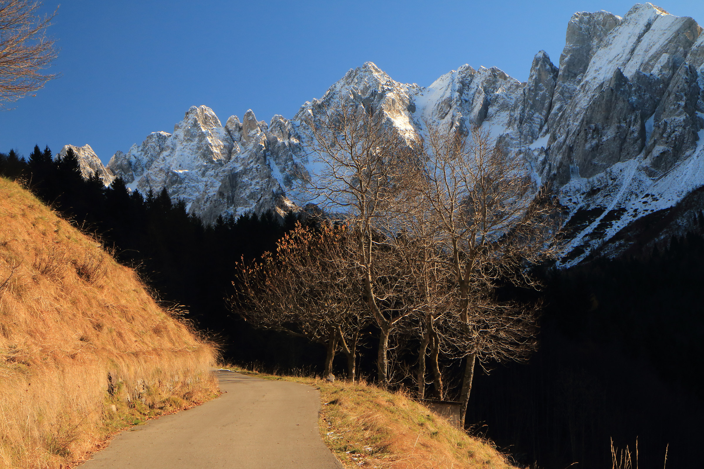 lights and shadows of Campelli