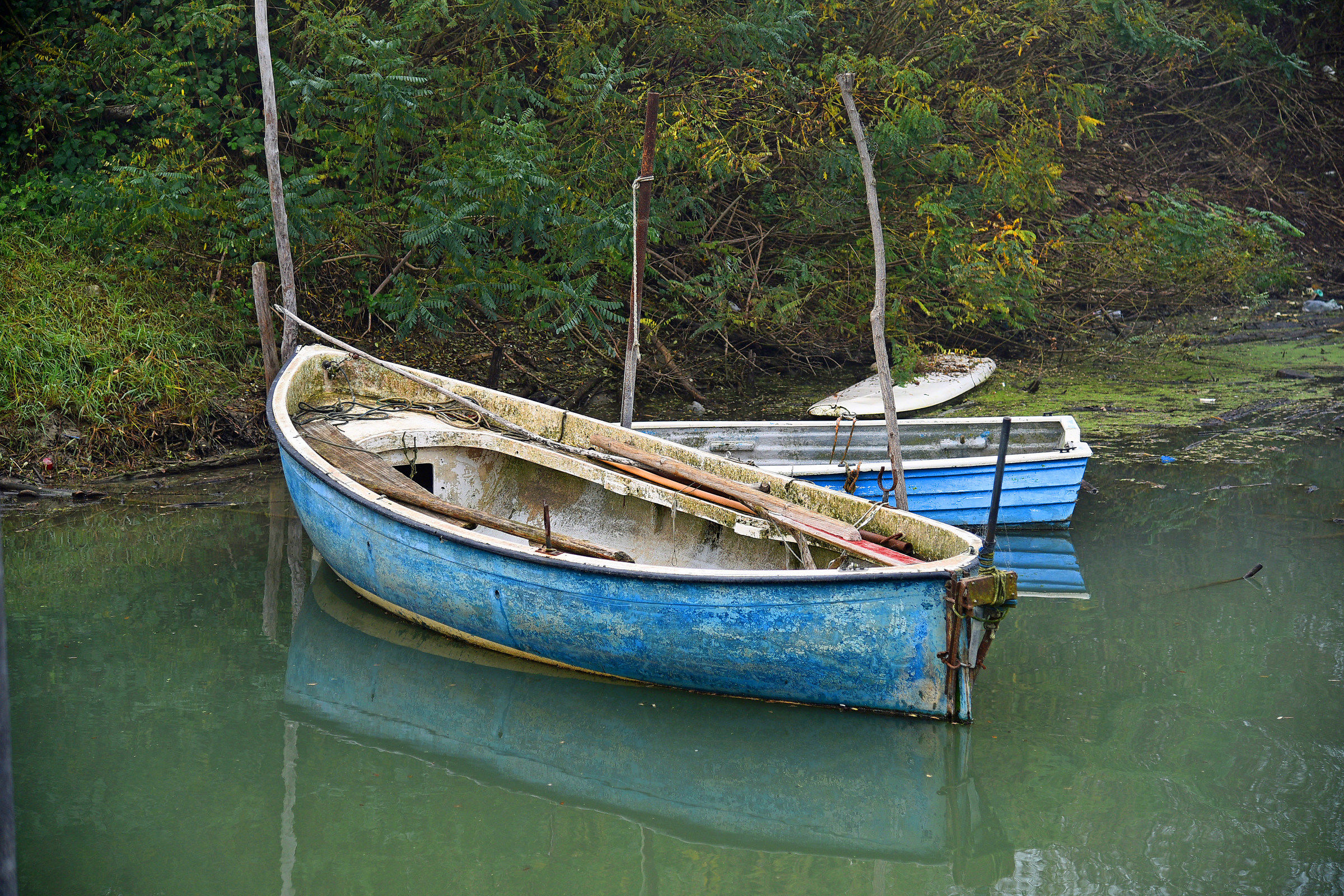 Misery of the valley