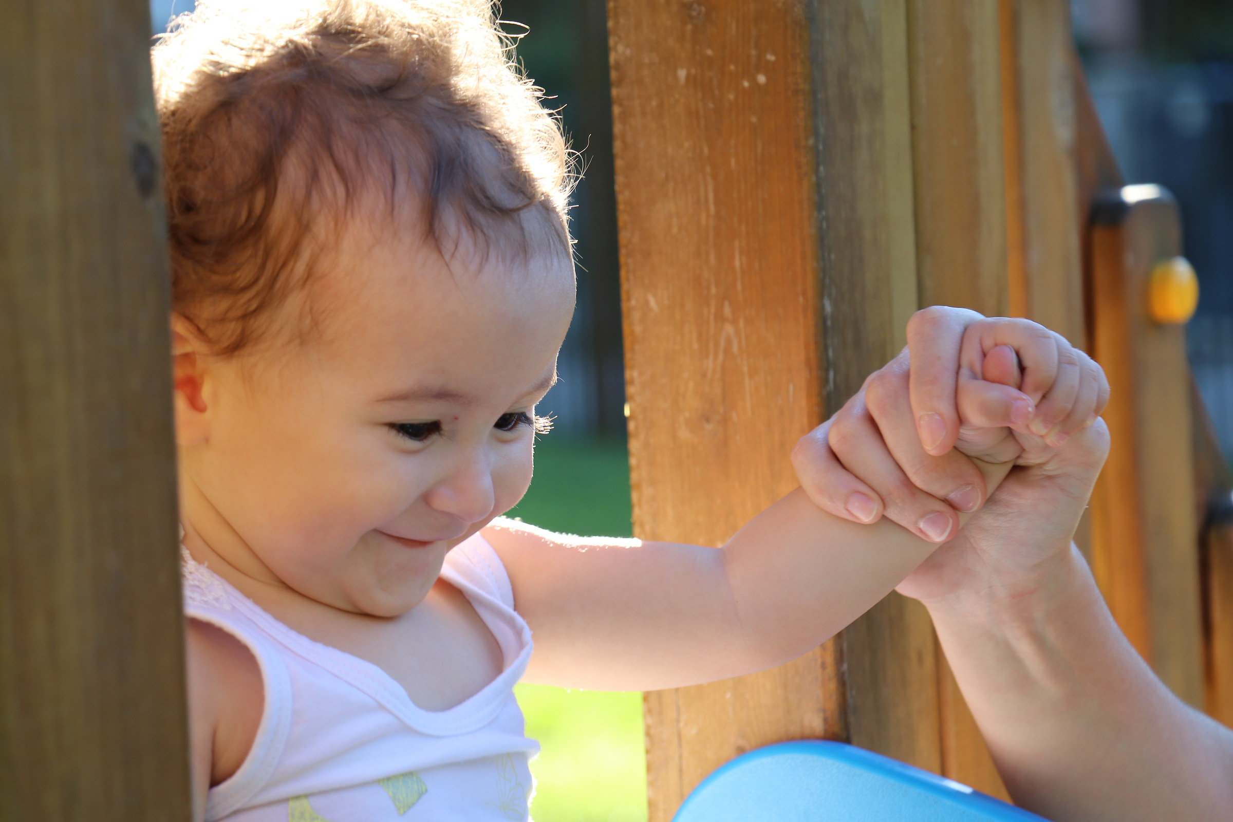 Canon 80D + 18-135mm is usm third series