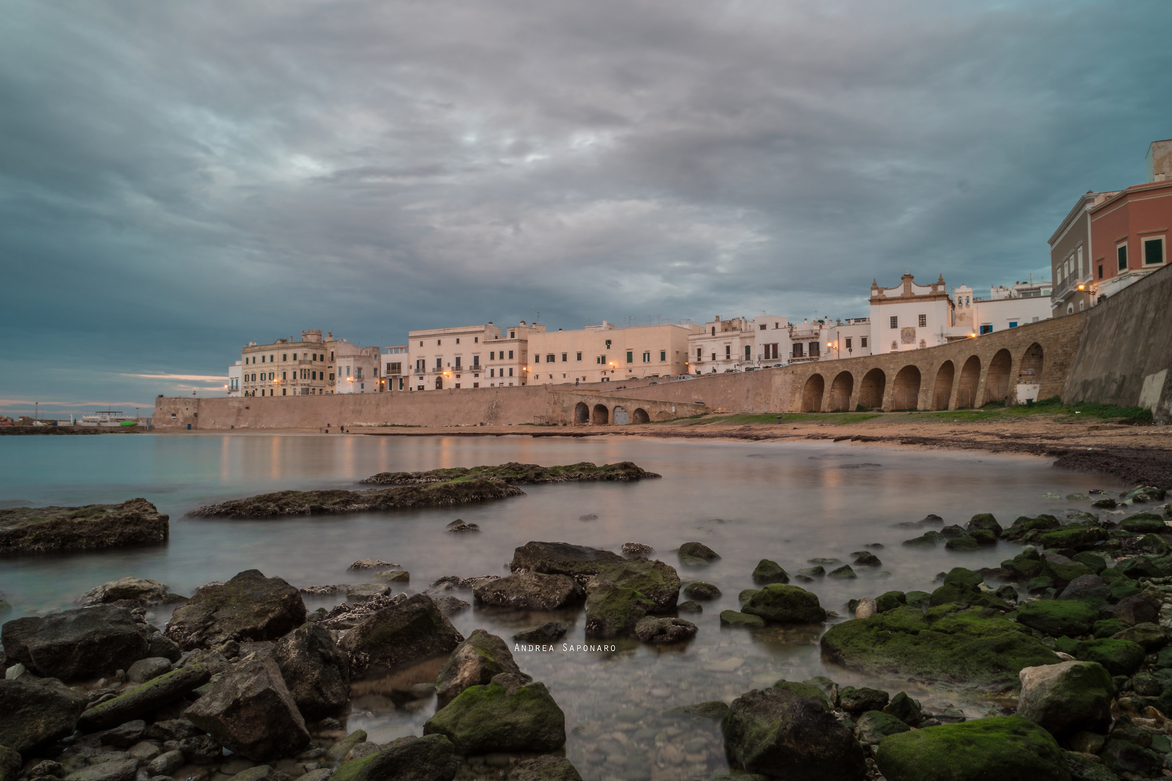 Gallipoli, the Purity