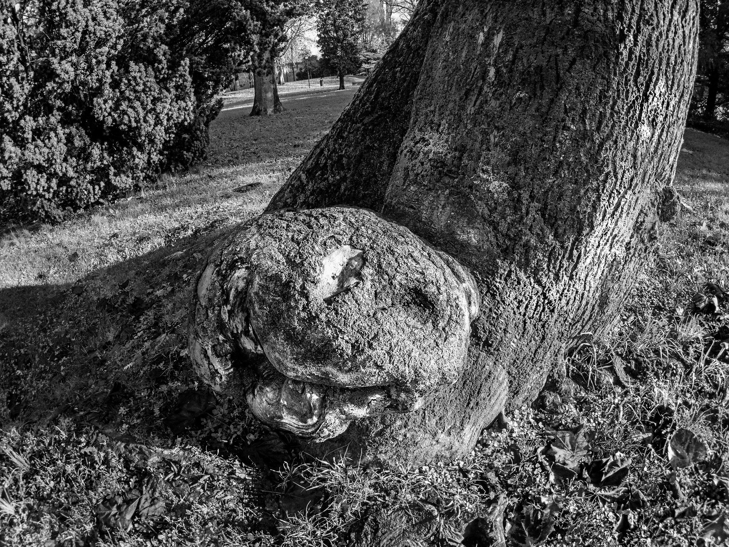 Una prospettiva insolita