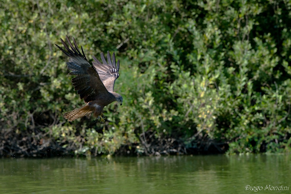 I caught and now I'm leaving ...