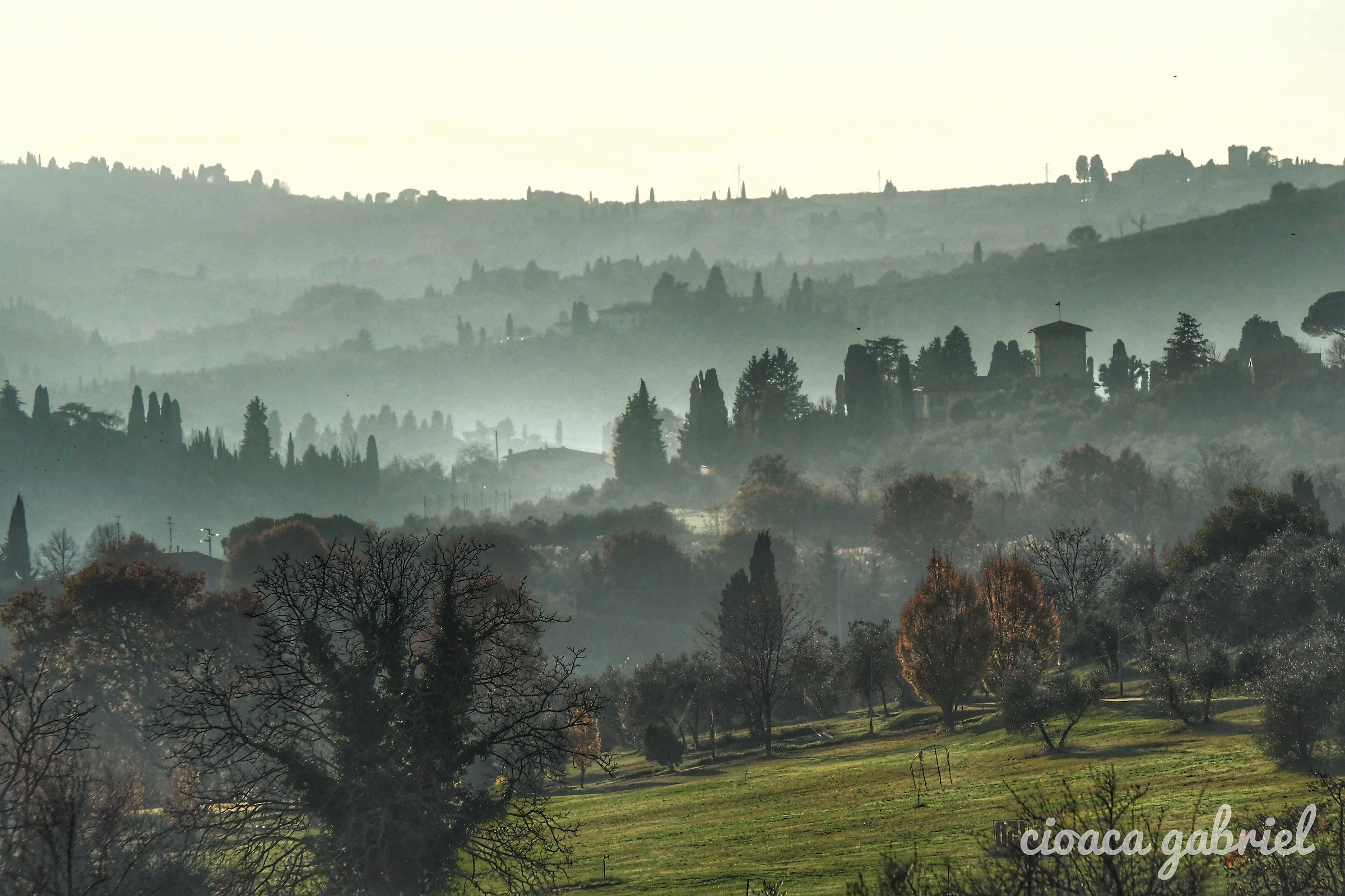 The Florentine hills
