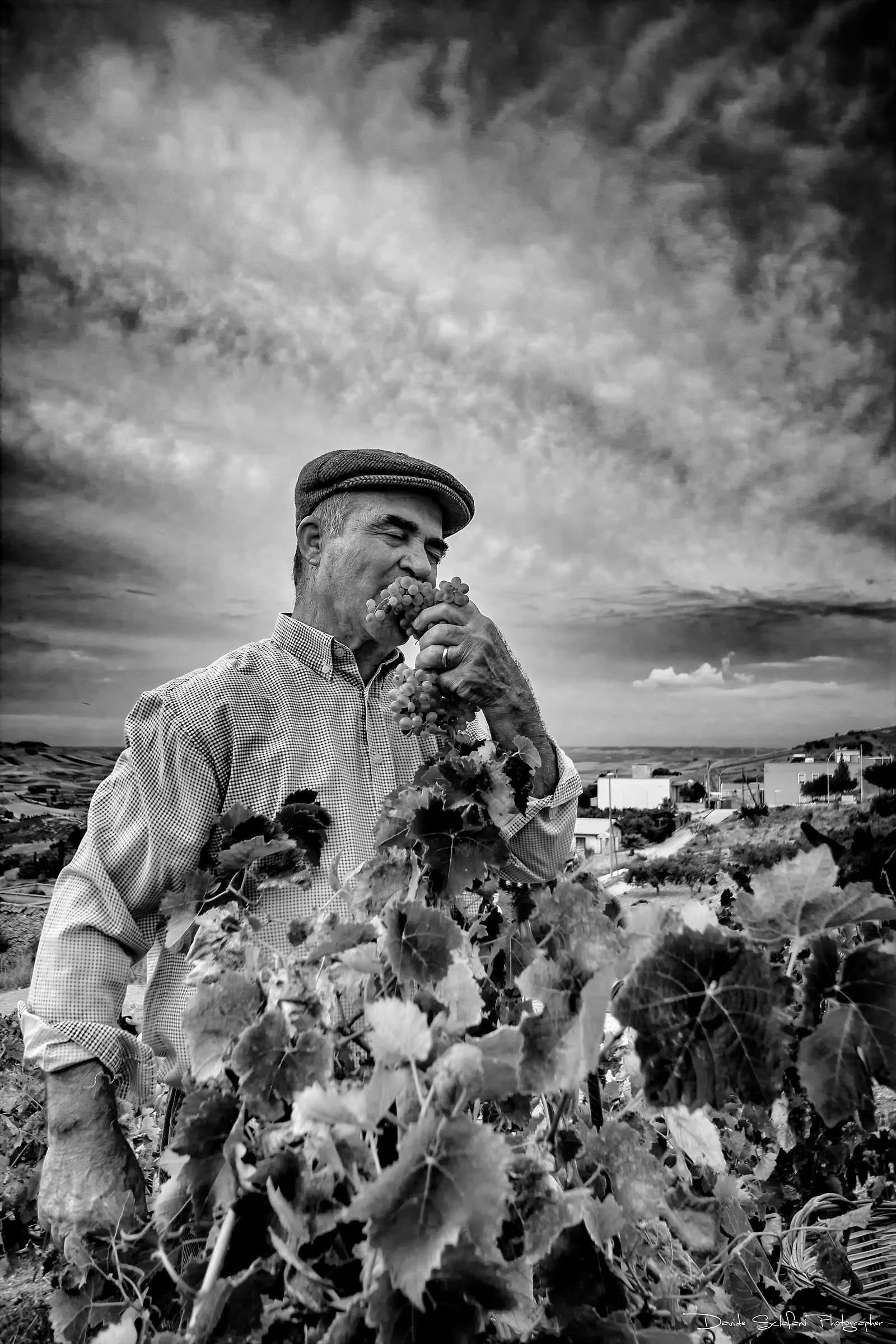 Il frutto della fatica