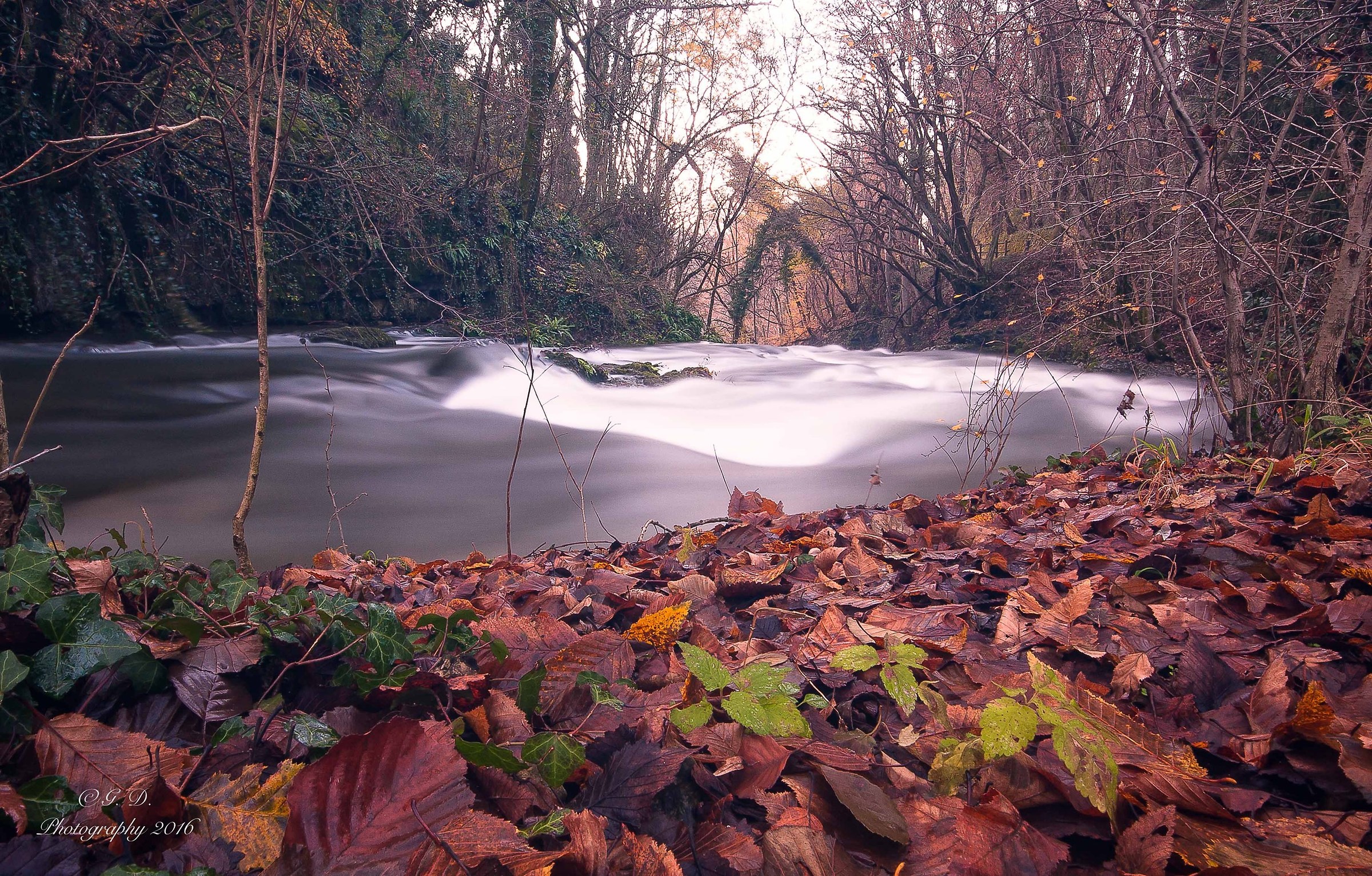 30 secondi di autunno.....