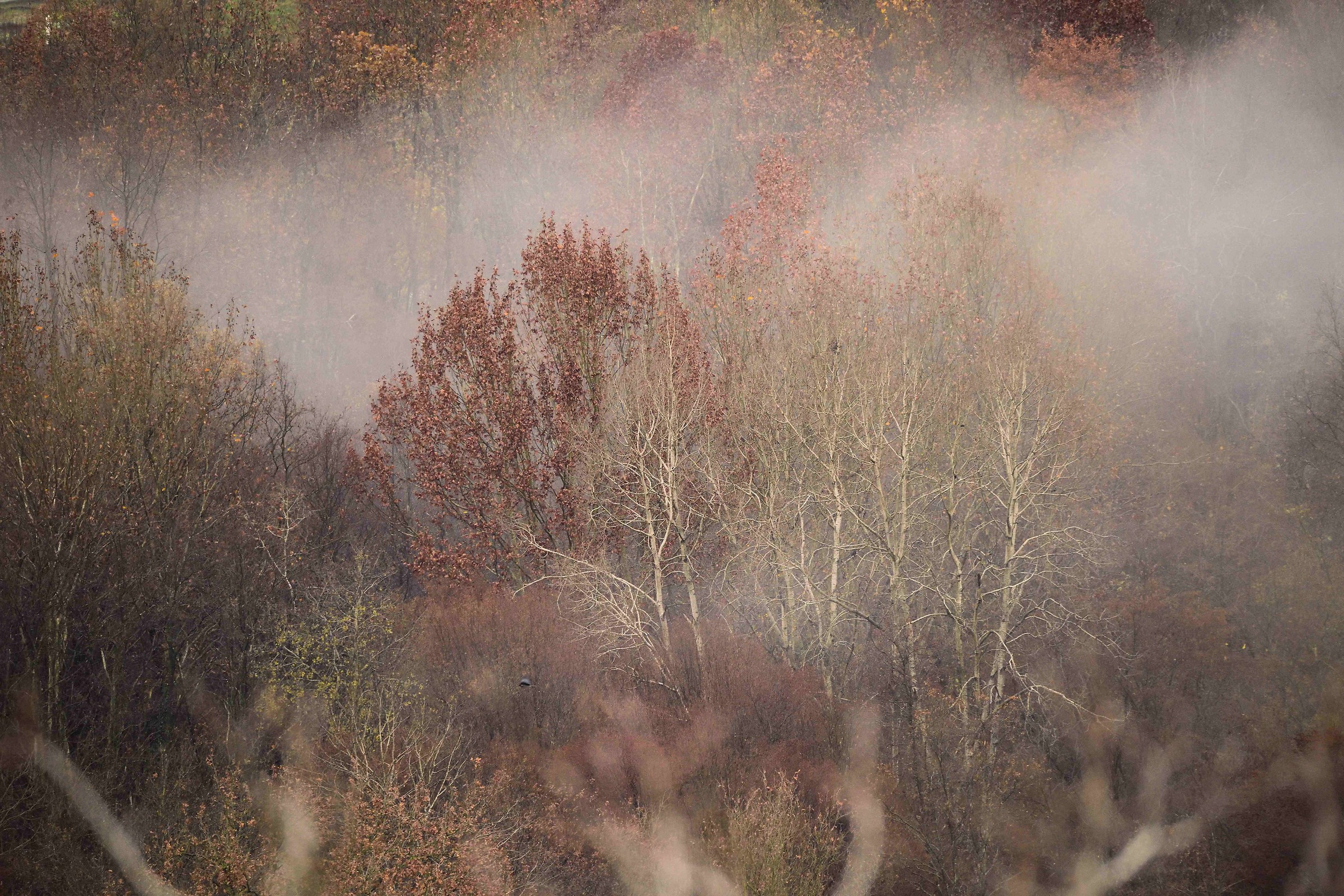 postcard from Montevecchia