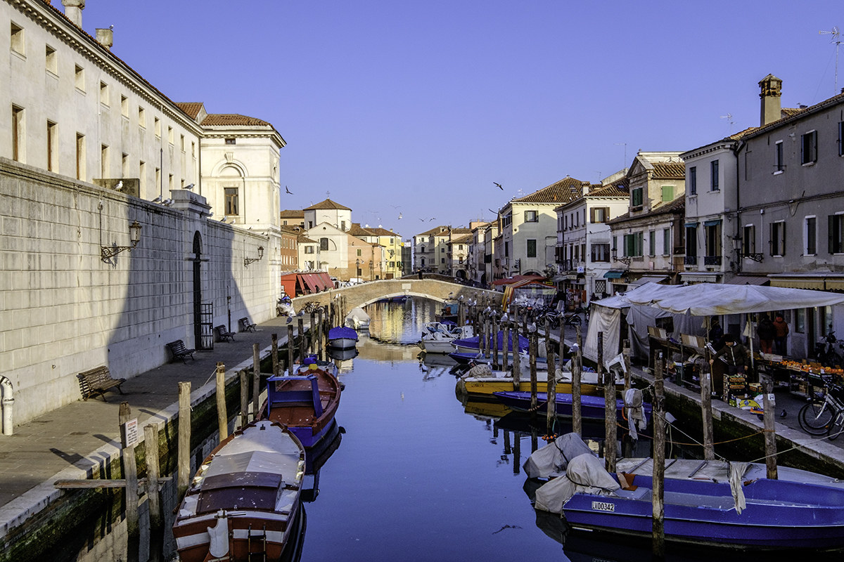 Chioggia market