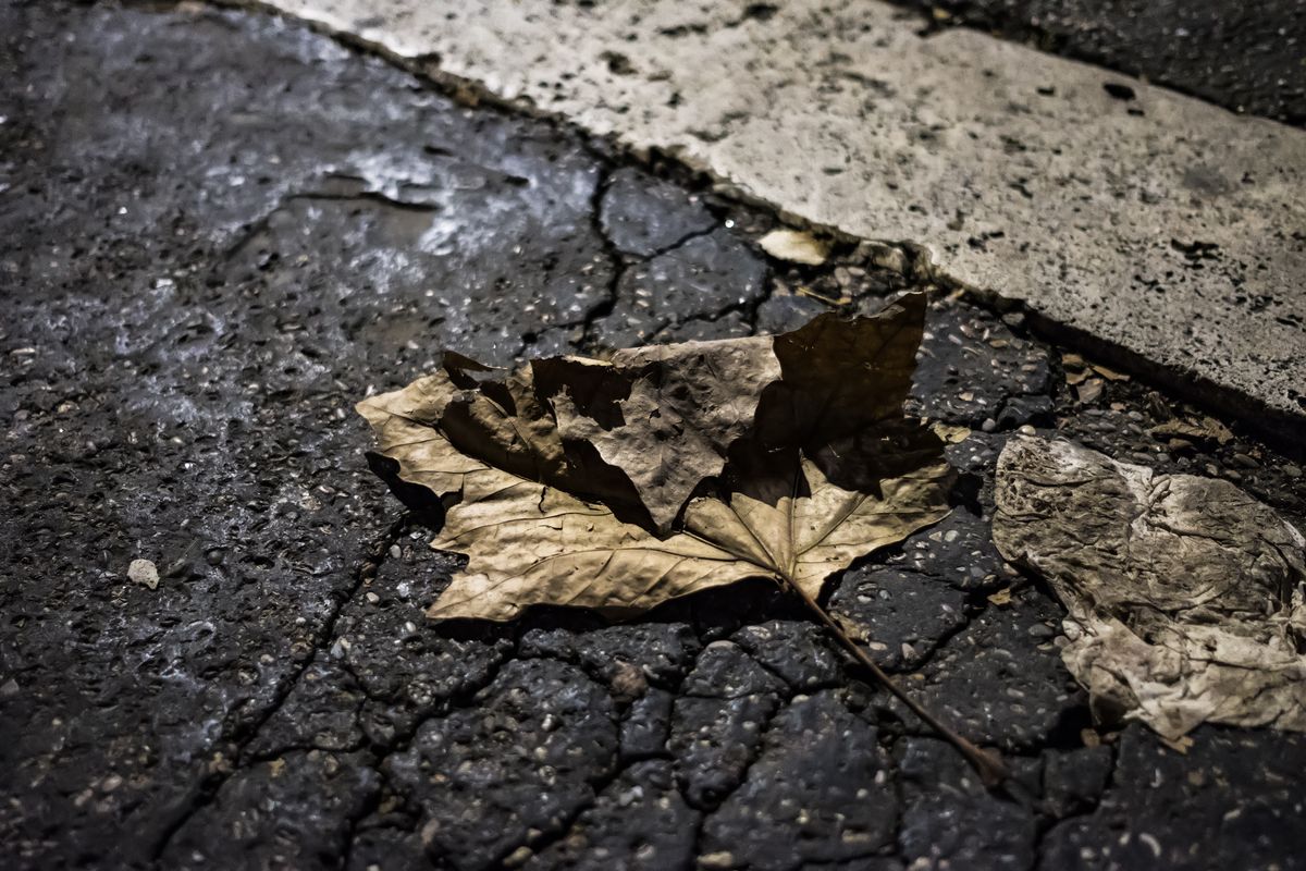 Prove con Fuji Xt-2 ... la compro??