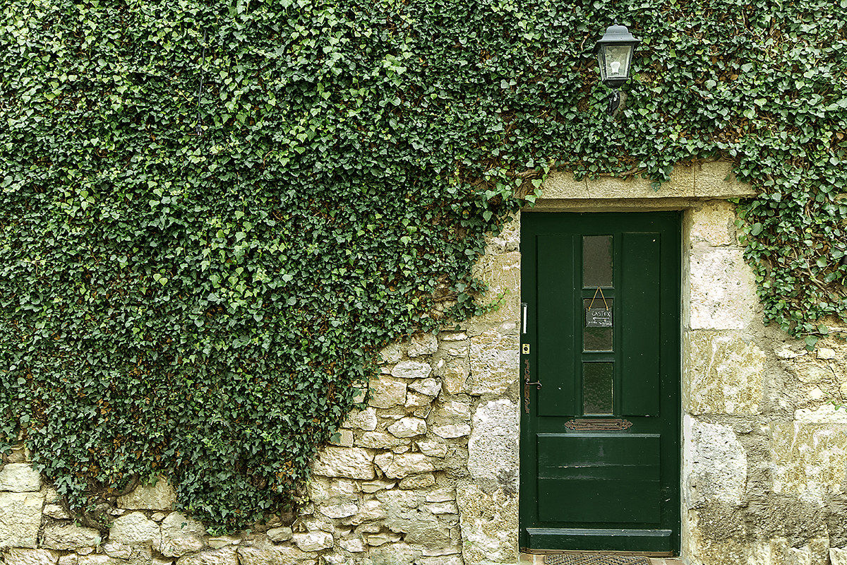 ...La porta e l'edera...