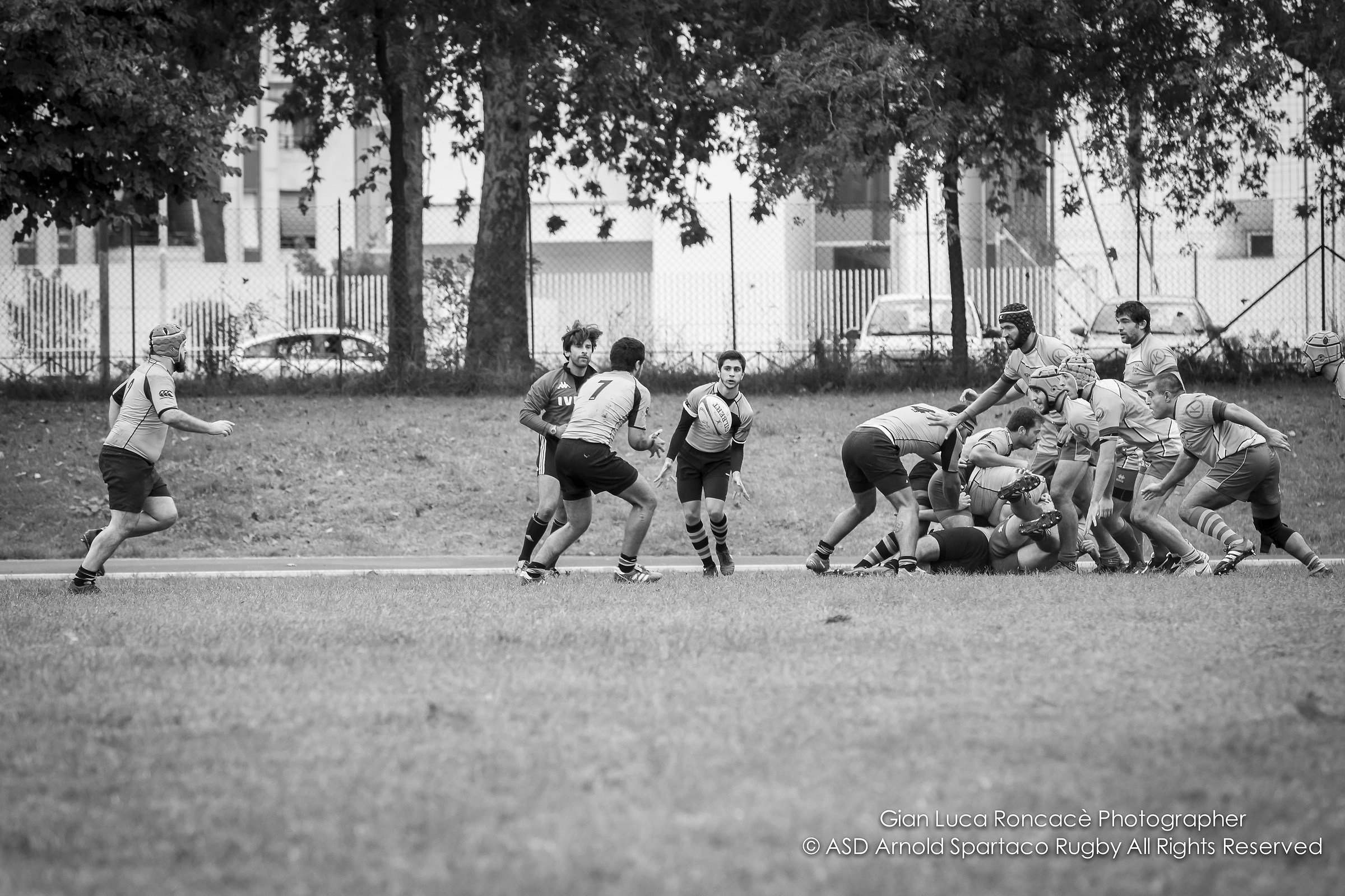 Rugby in love