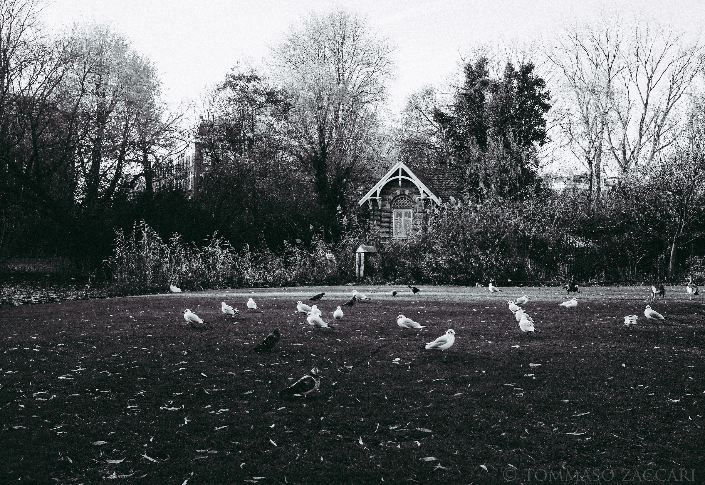 ...lo vorrei,lo volevo,lo volevamo.