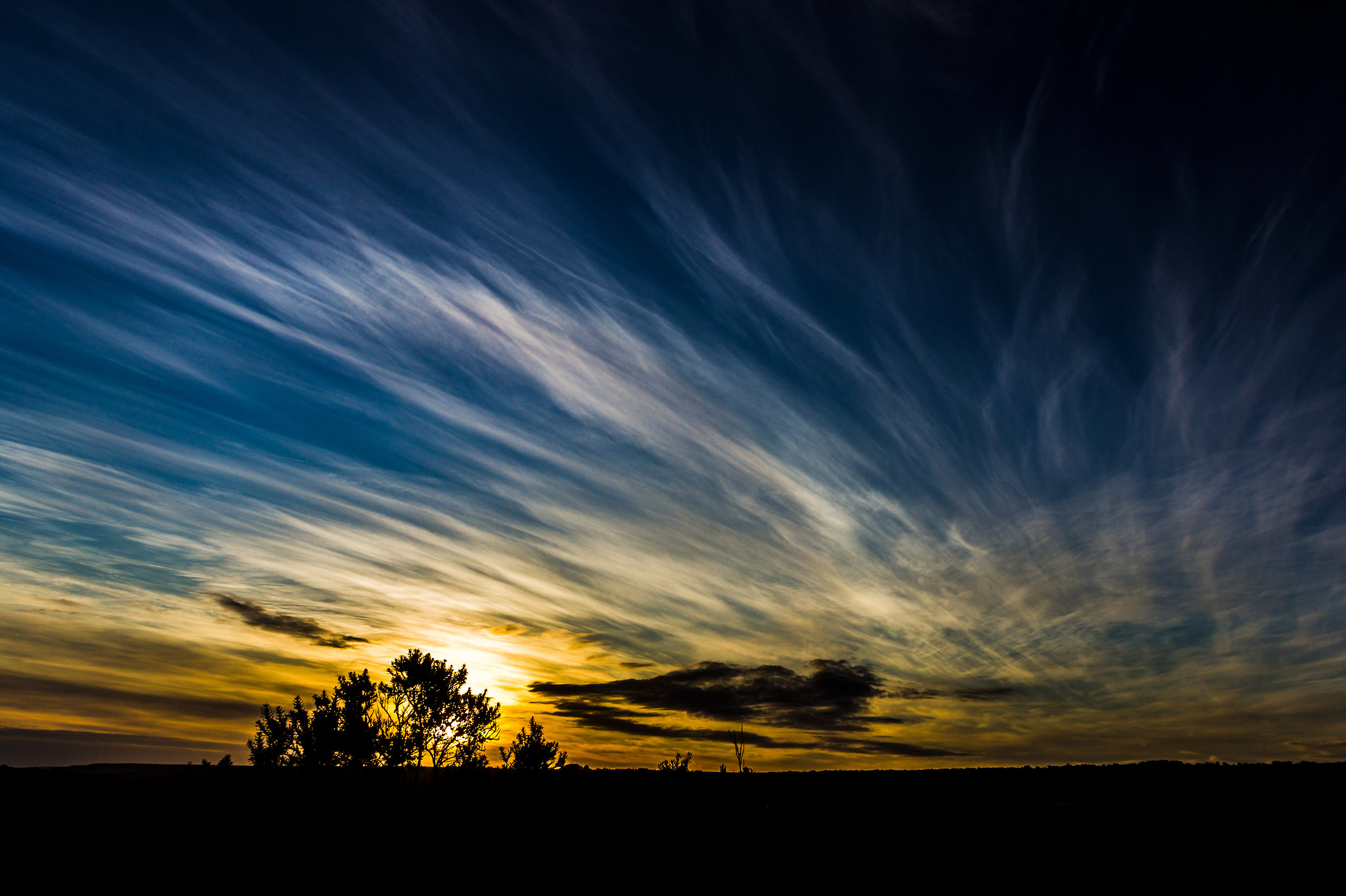 Painting from nature