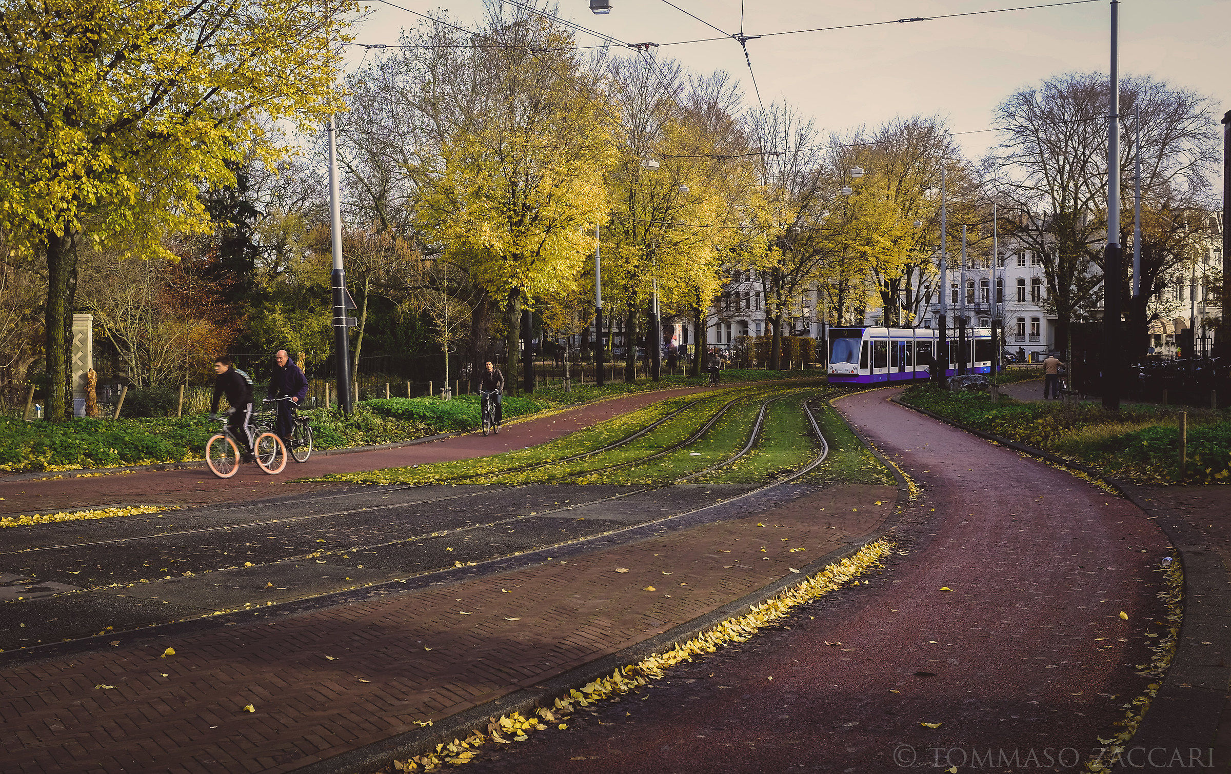 L'oro e l'argento...la terra.