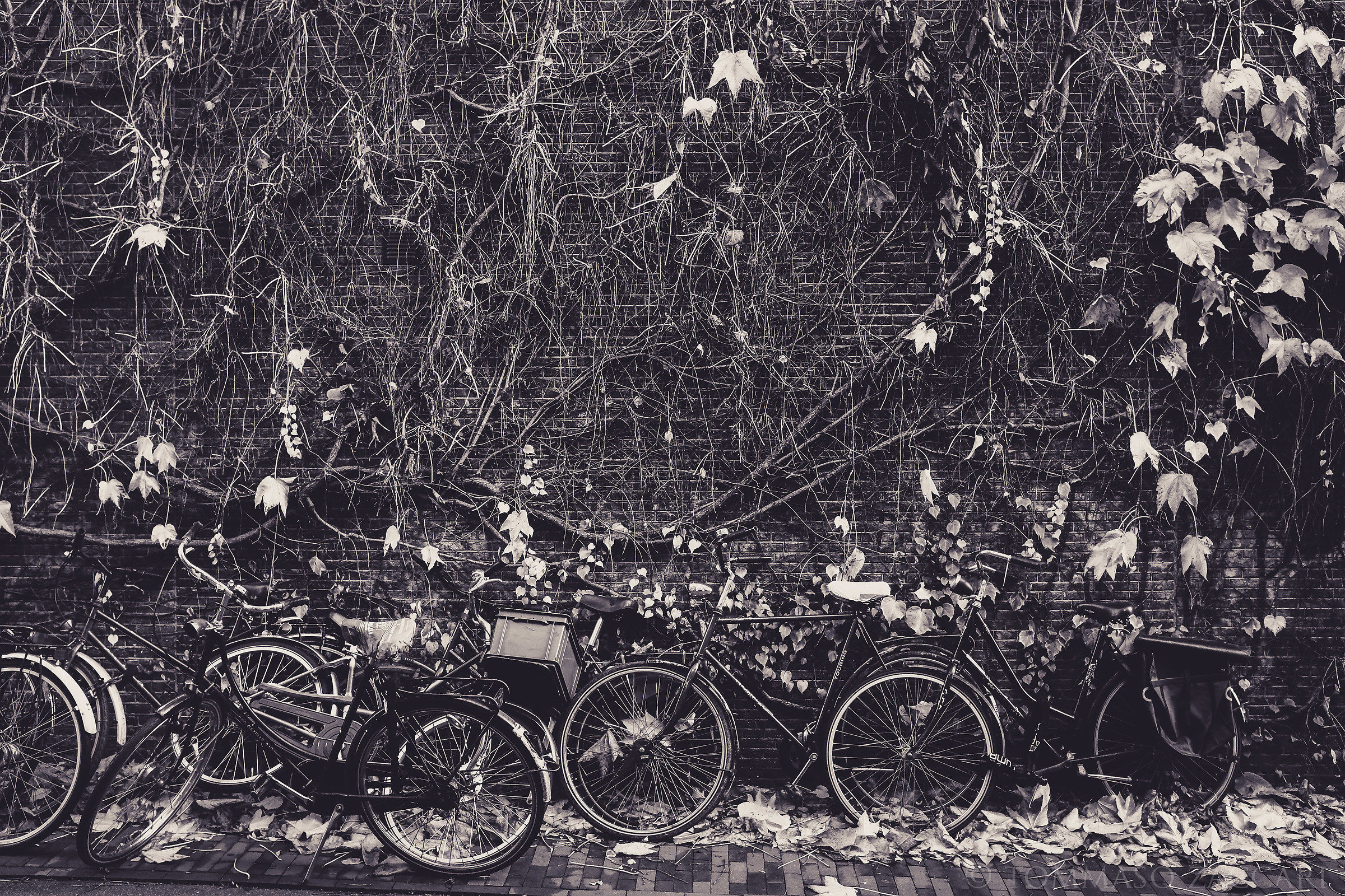 Nessuno conosce i miei pensieri e neanche i tuoi.