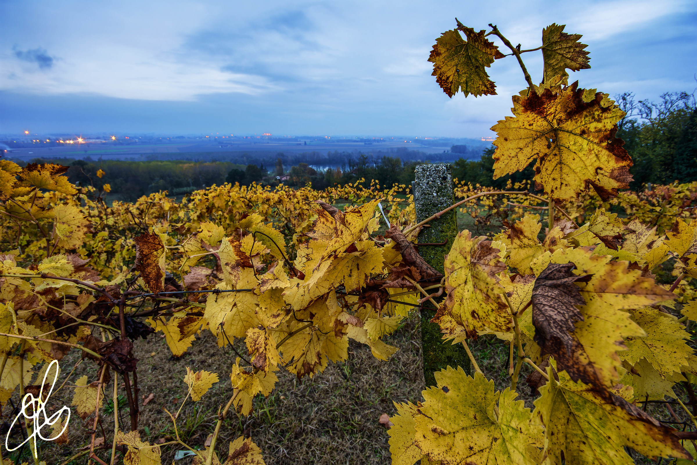 Anche questo è l'autunno