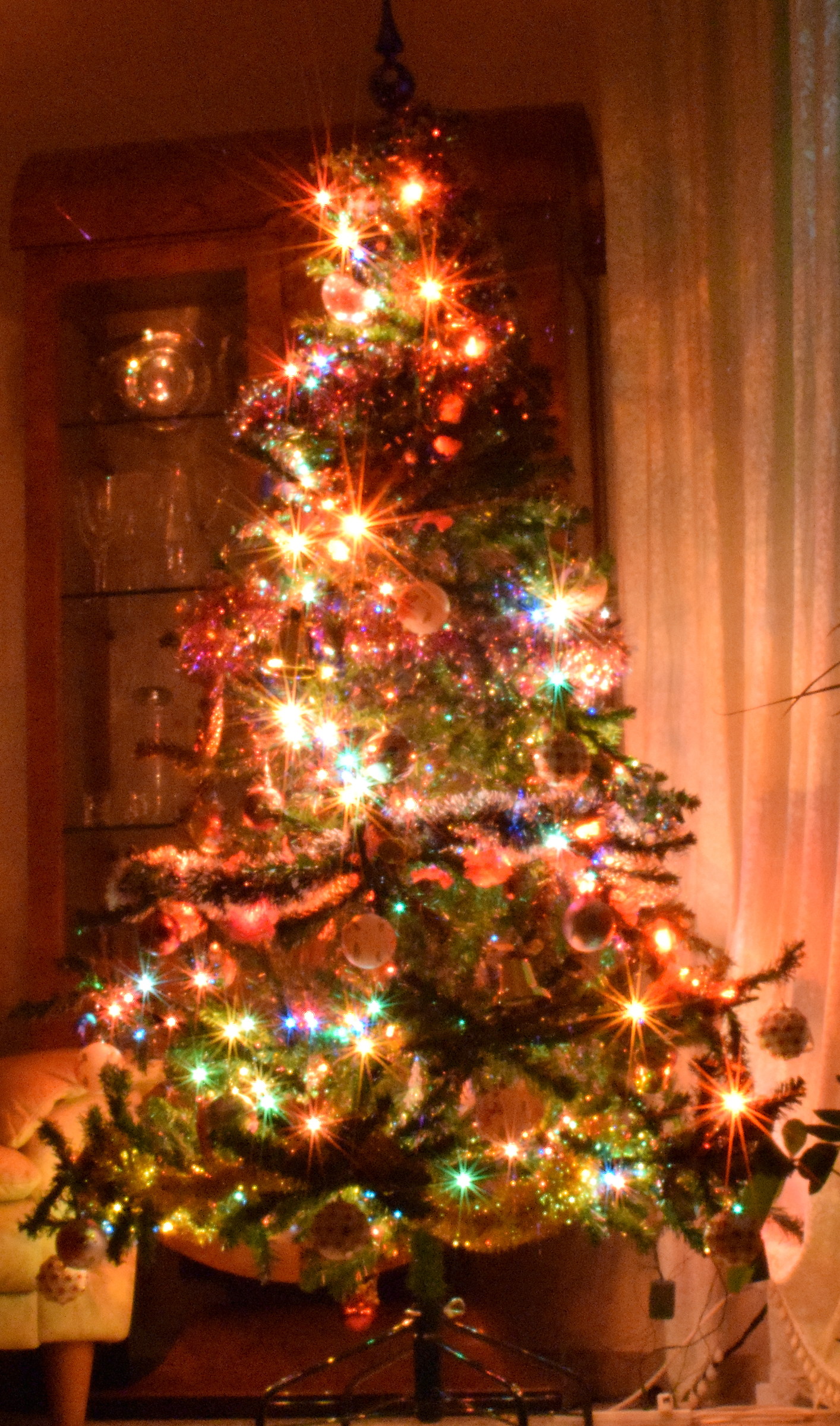 Christmas tree (artificial) Family