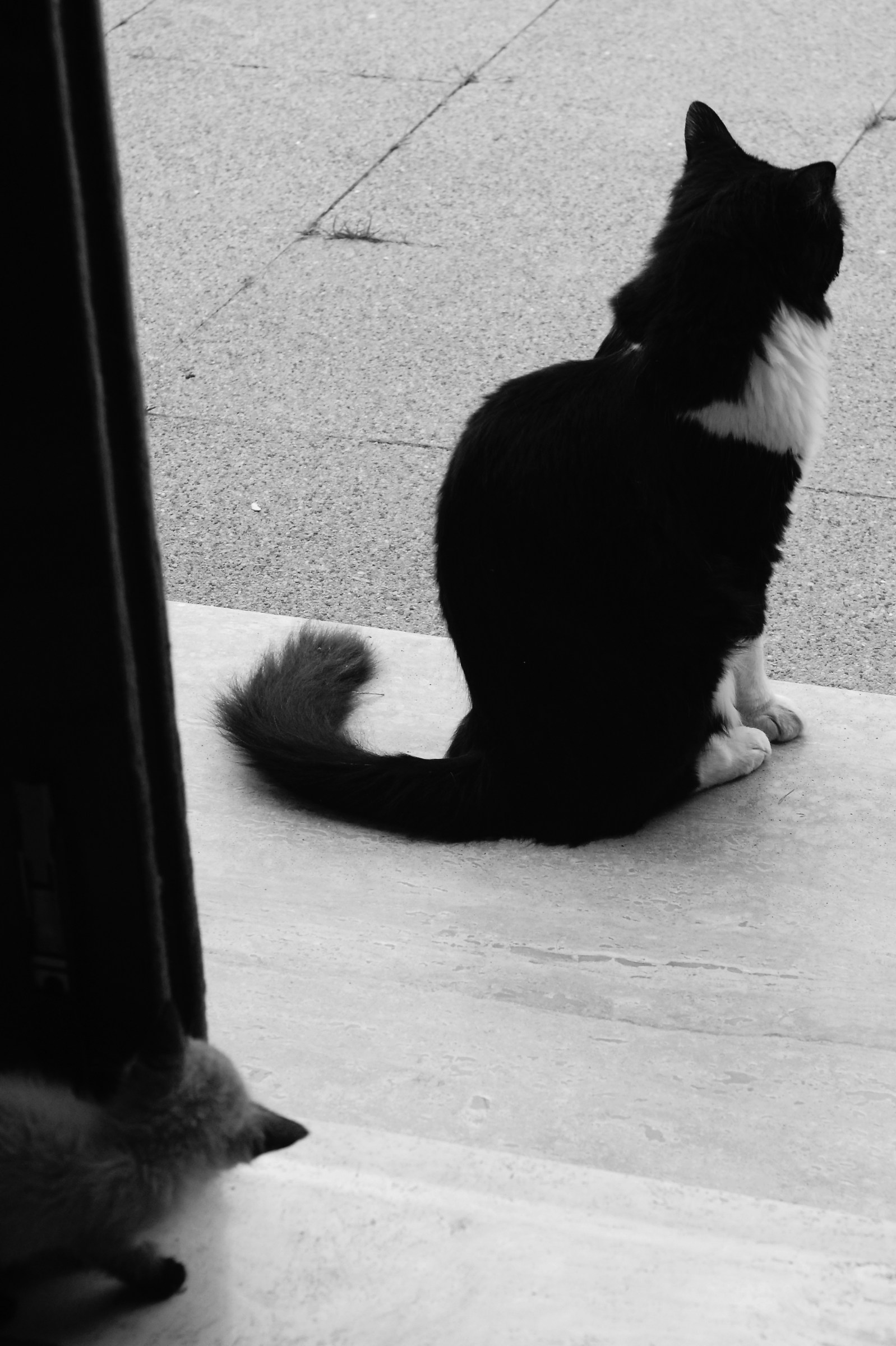 Do not open that door