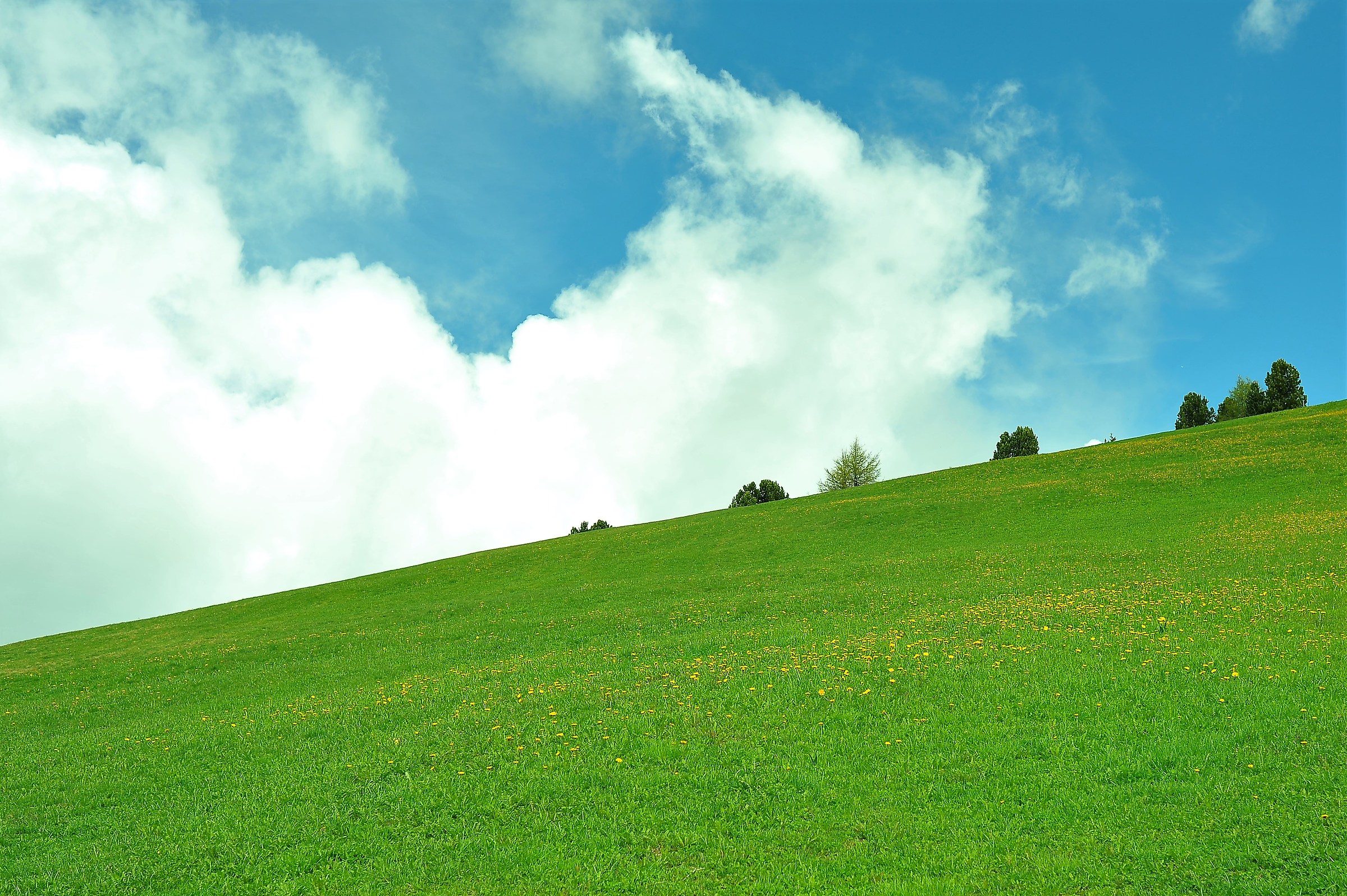 just the sound of the wind ...