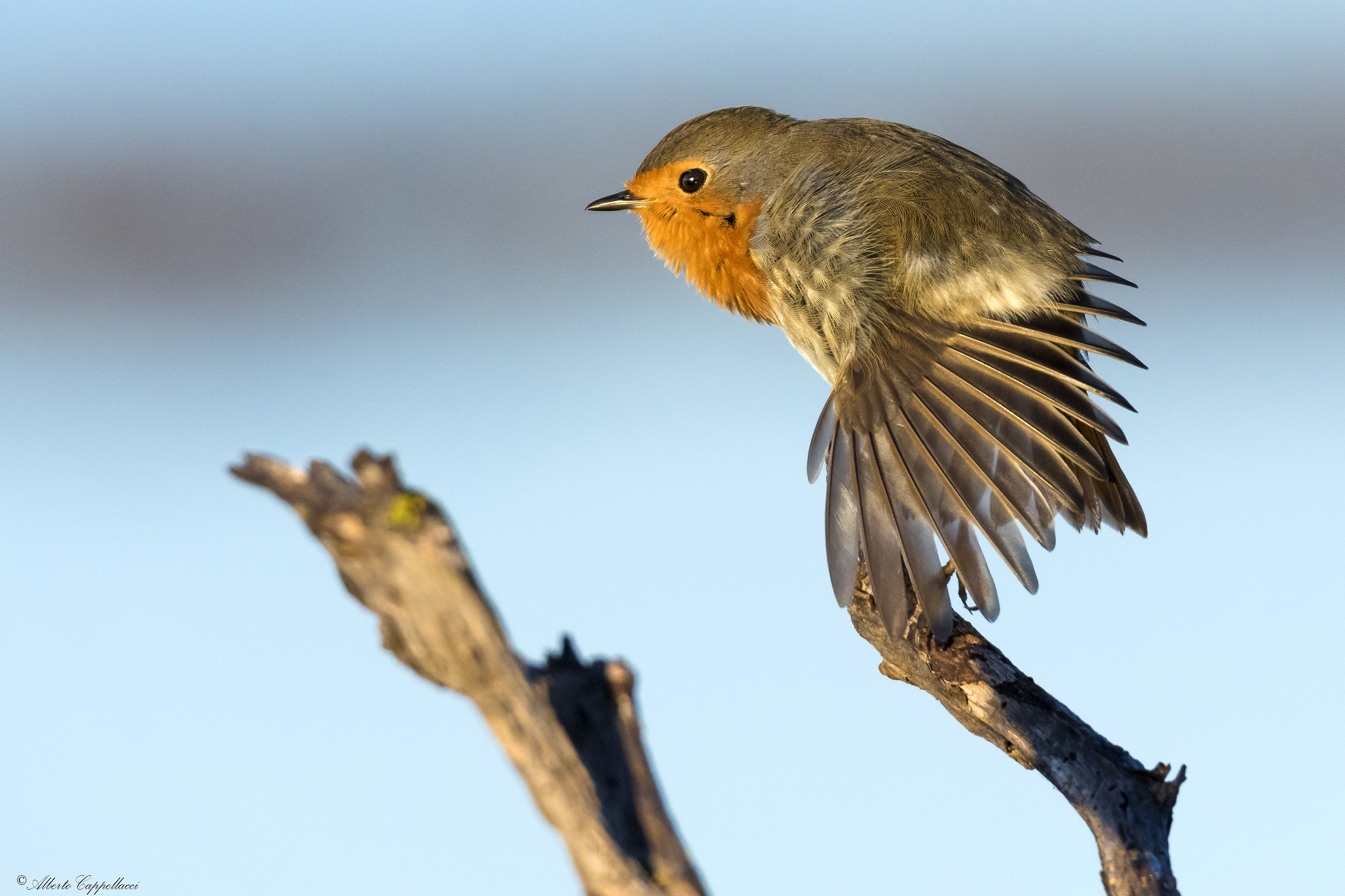 Stretching mattutino