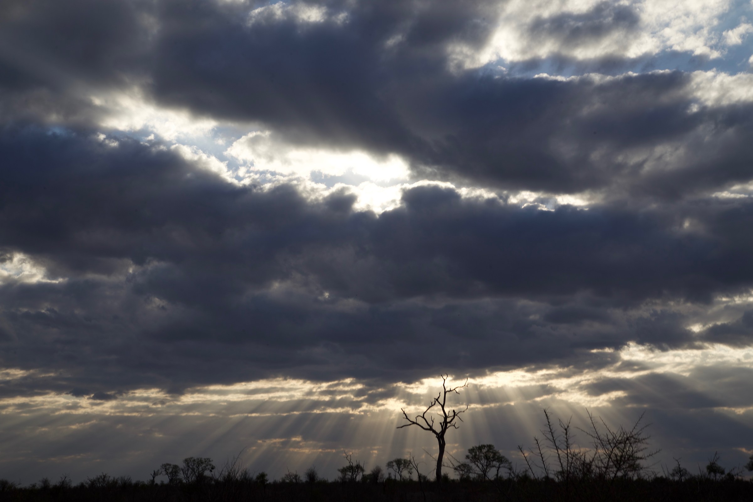 pioggia di luce al kruger