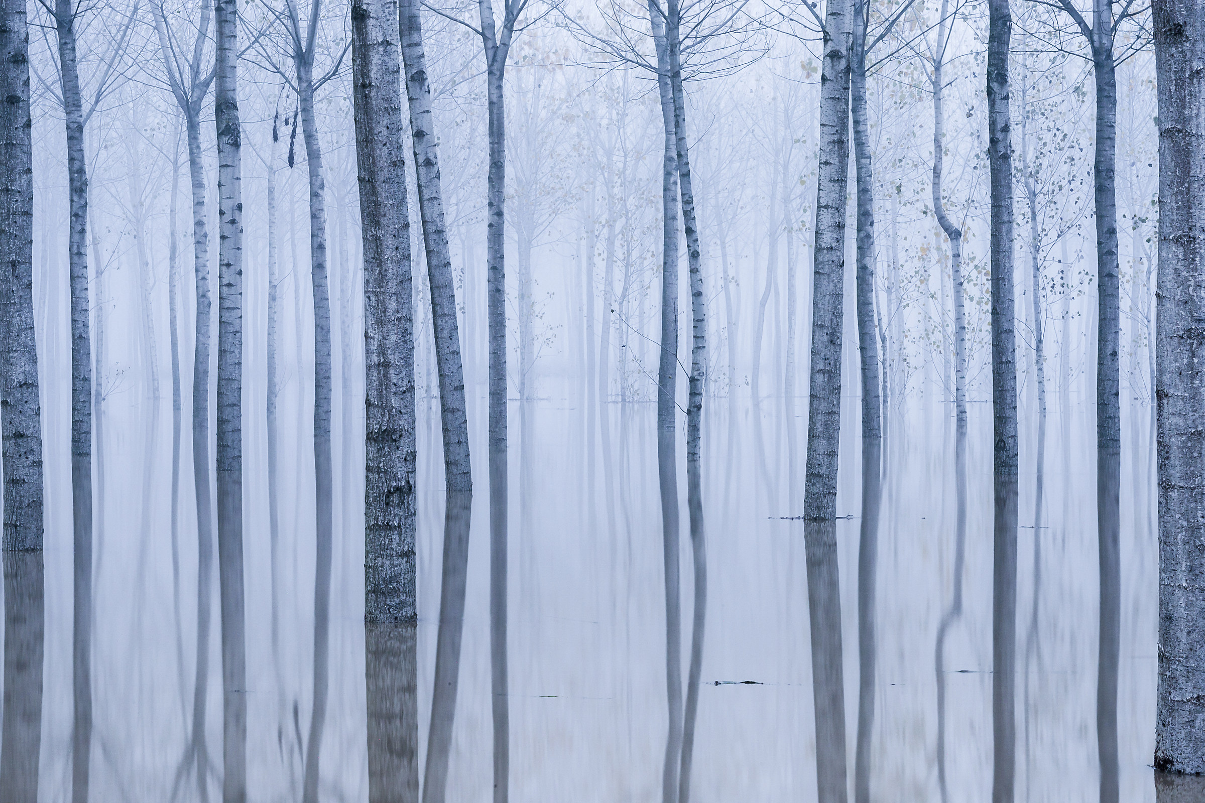 Atmosfere Alluvionali