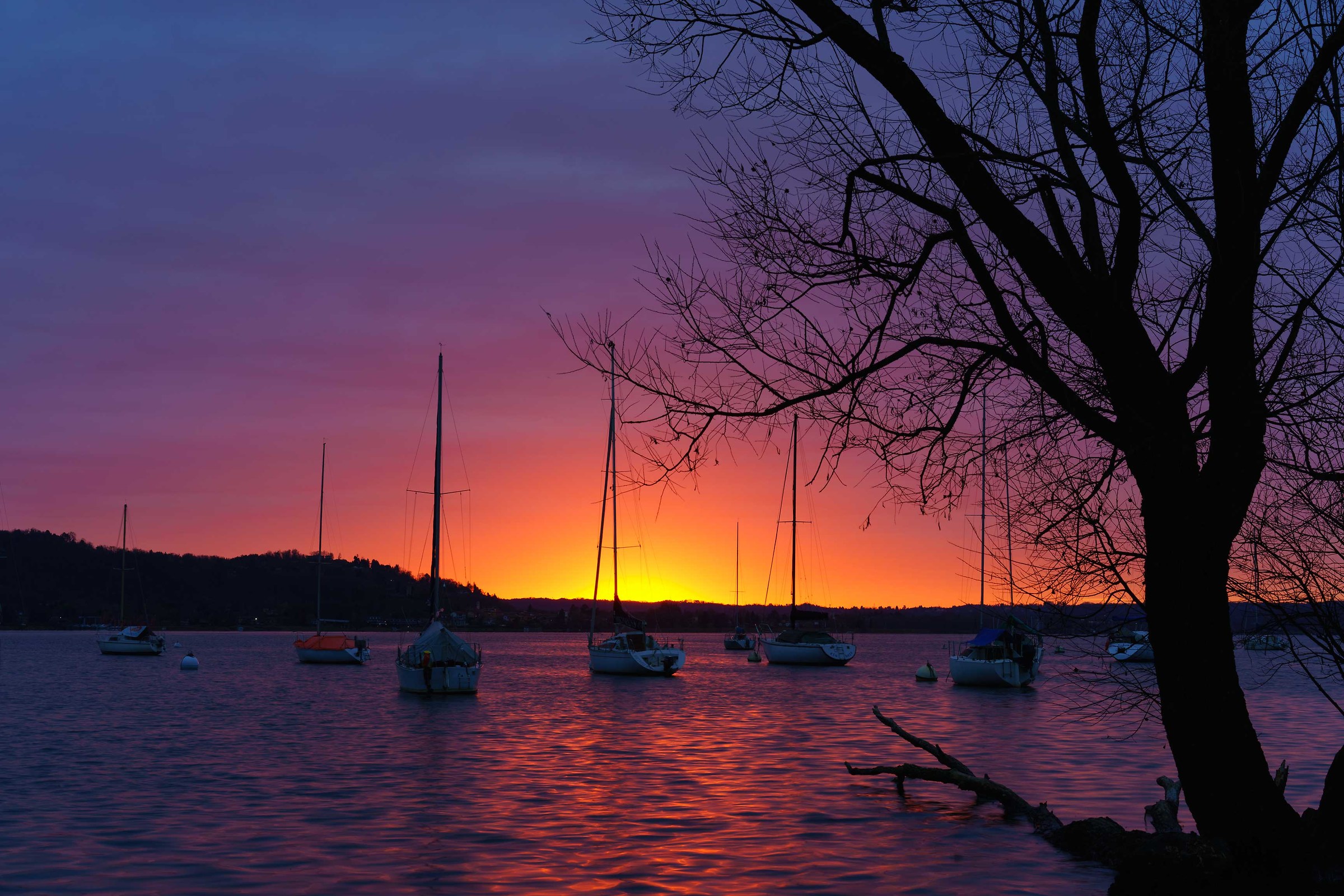 Alba Arona this morning