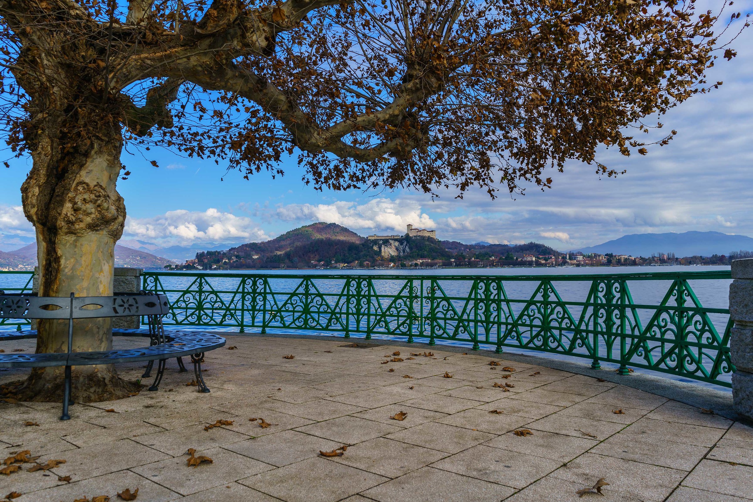 Il vecchio albero e la Rocca di Angera