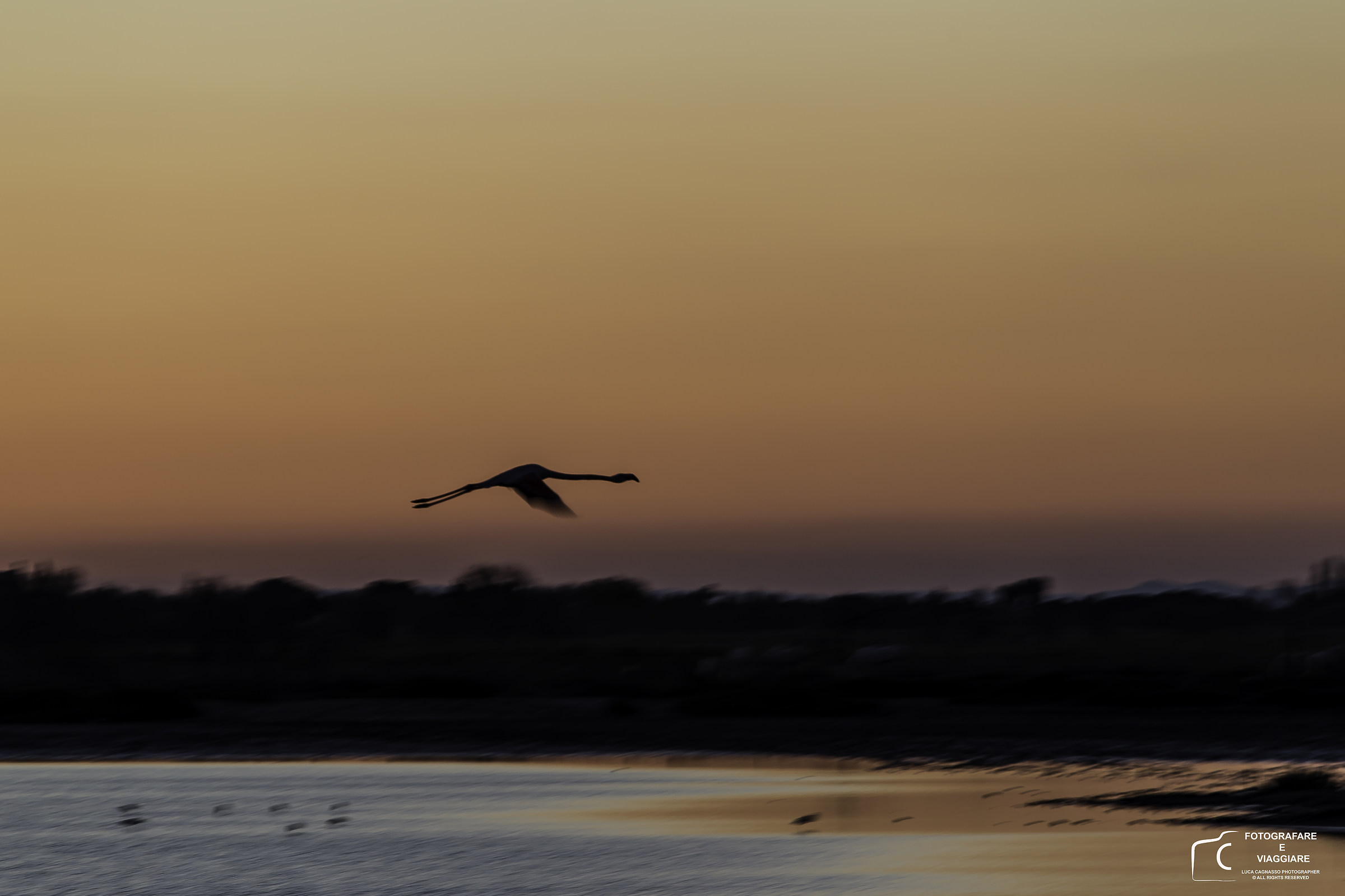 Sunset in Camargue 2