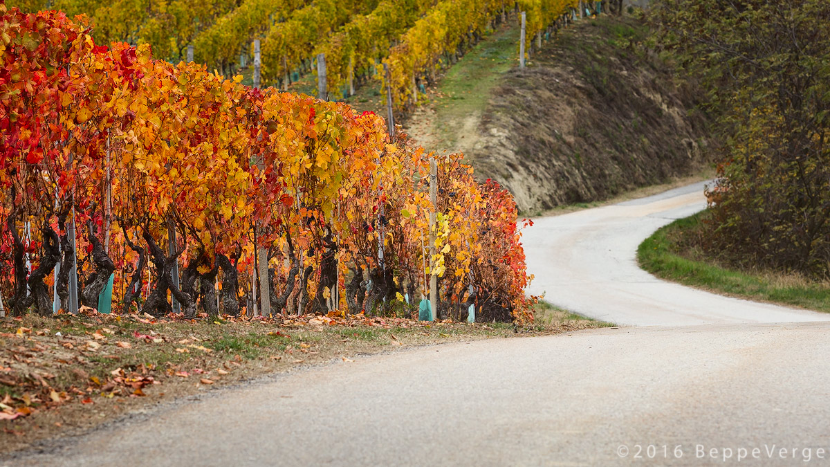 The narrow streets of the Langhe