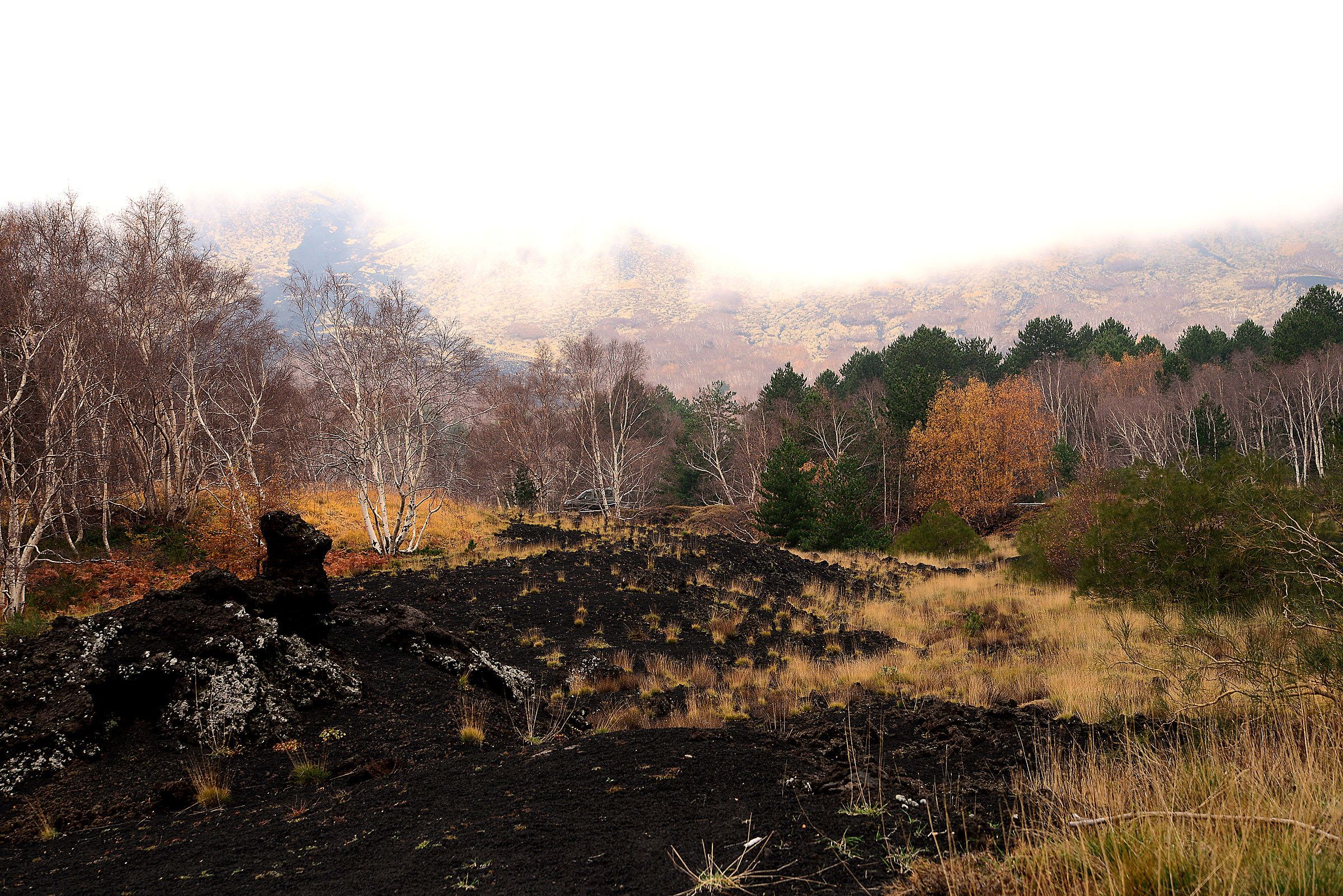 Etna and its Birches.