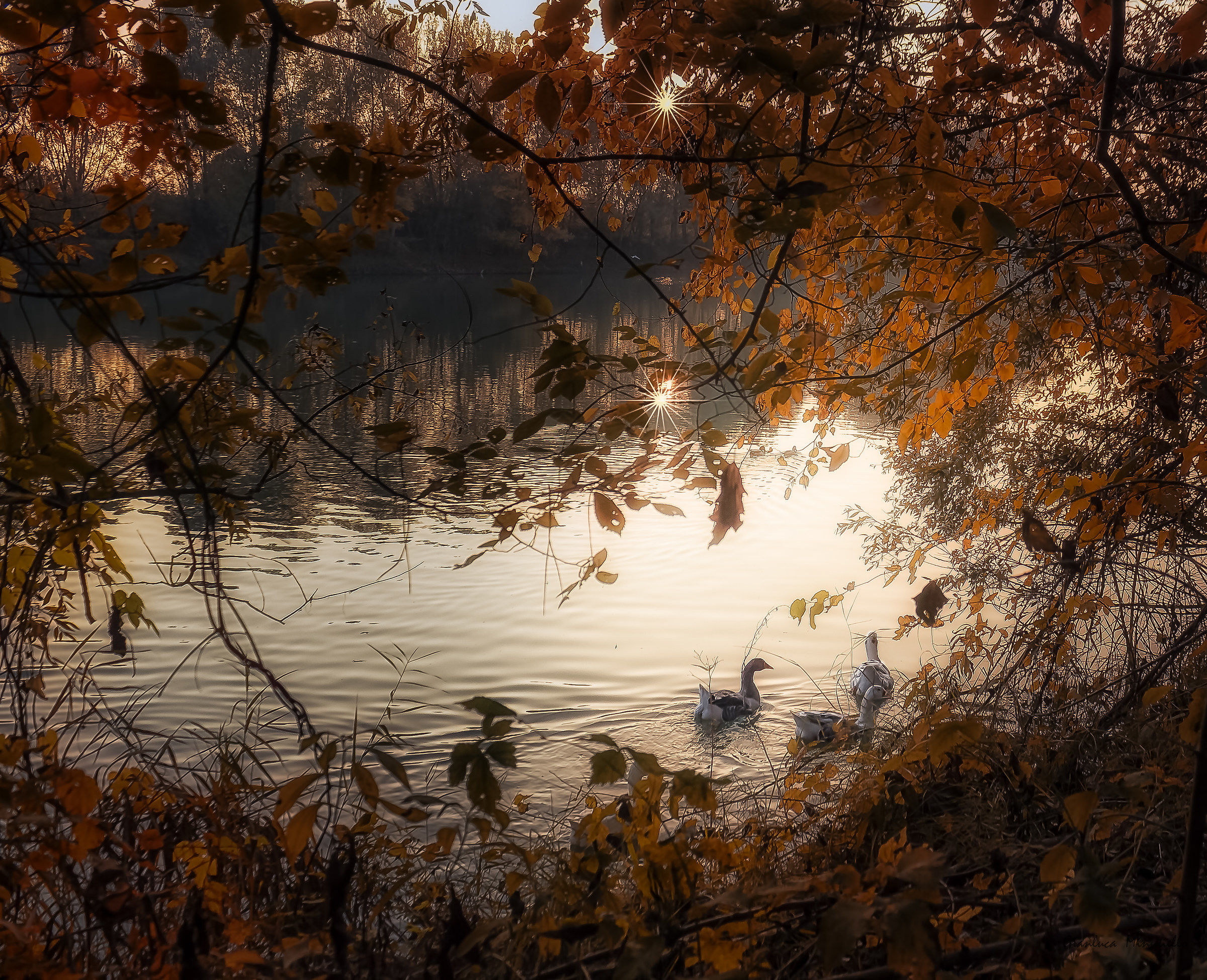 The Adige river banks