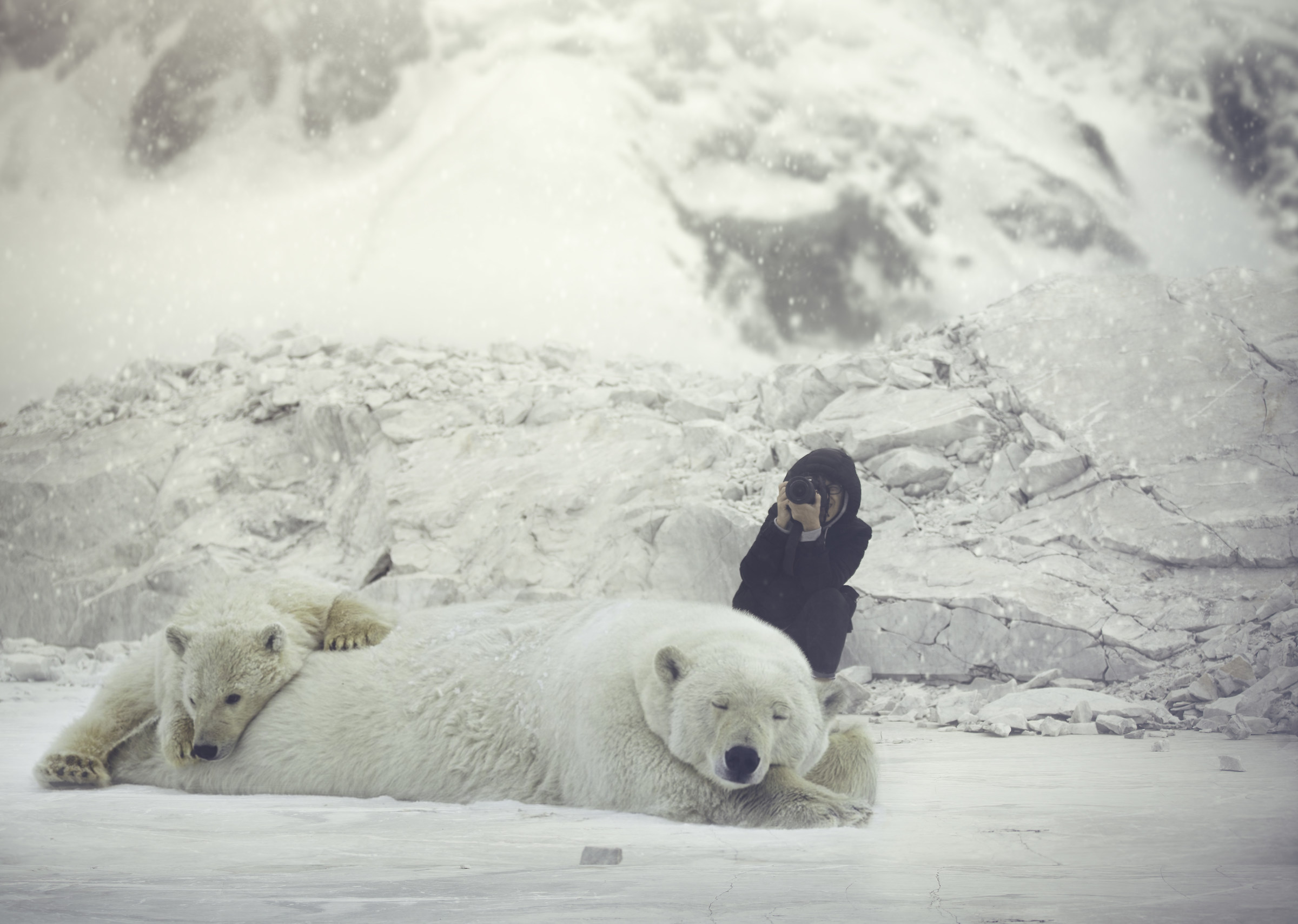La temeraria di Luisa
