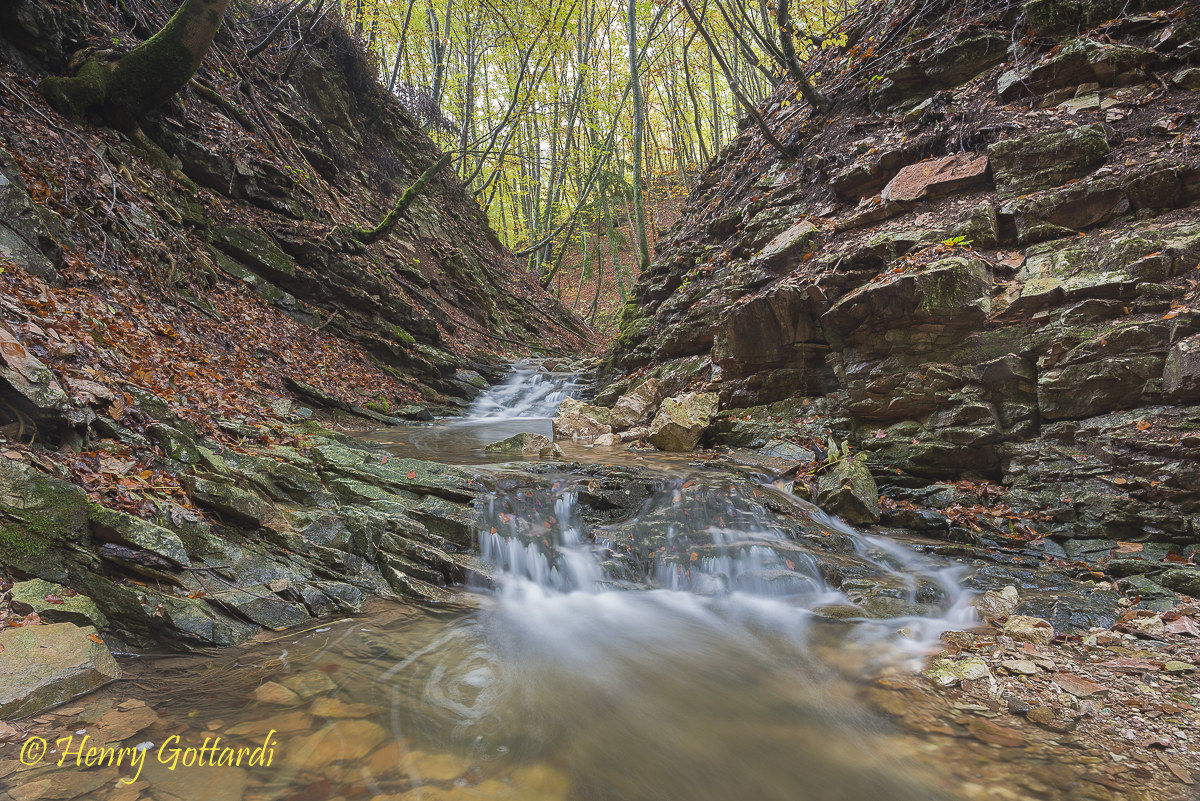 Nel cuore del Autunno