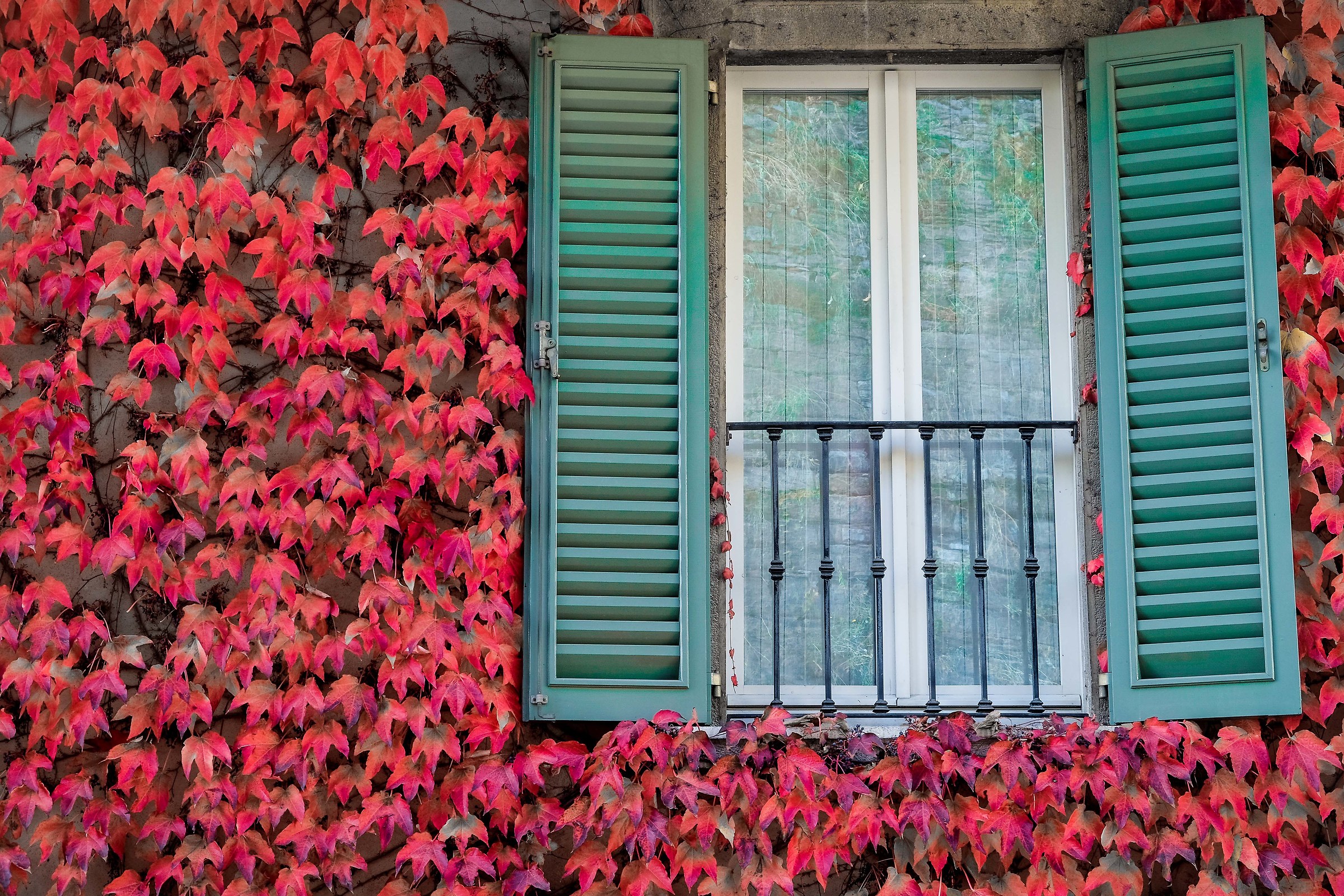 a window on autumn