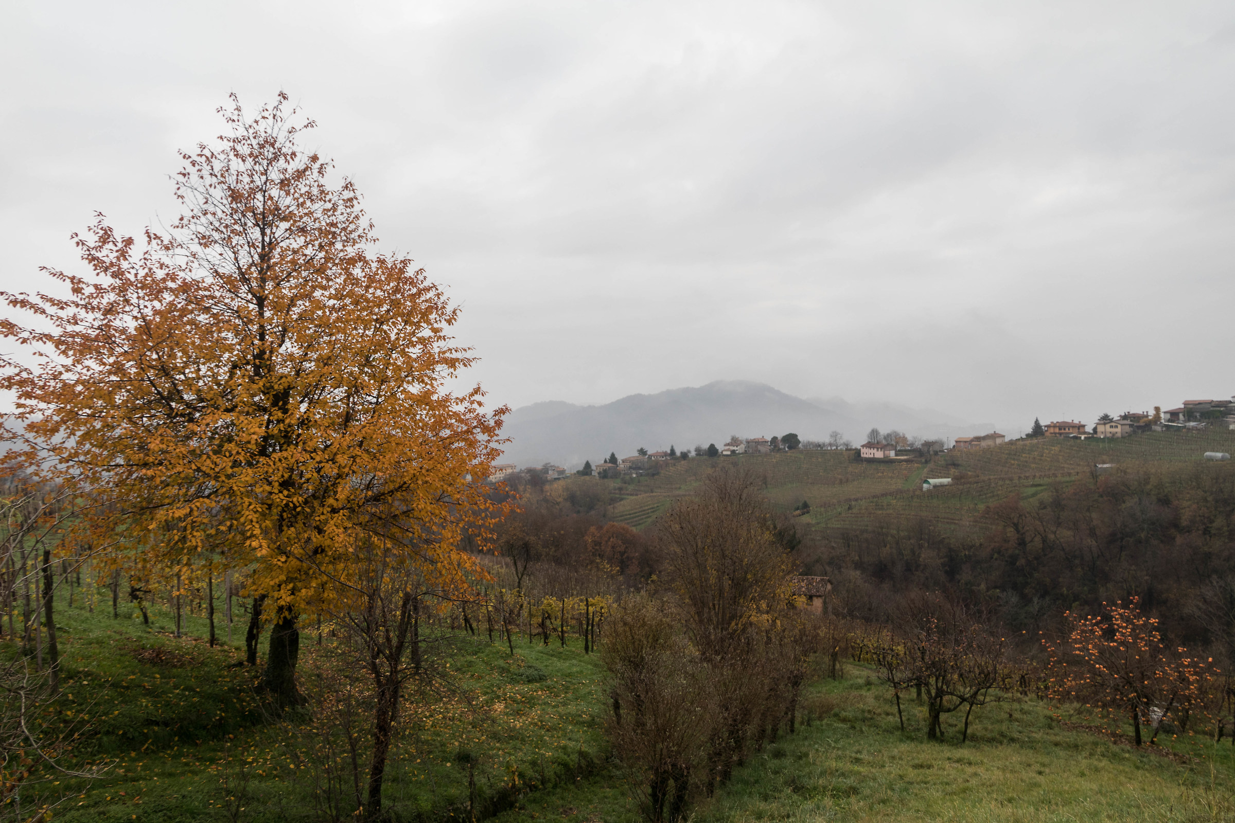 The hills of Prosecco
