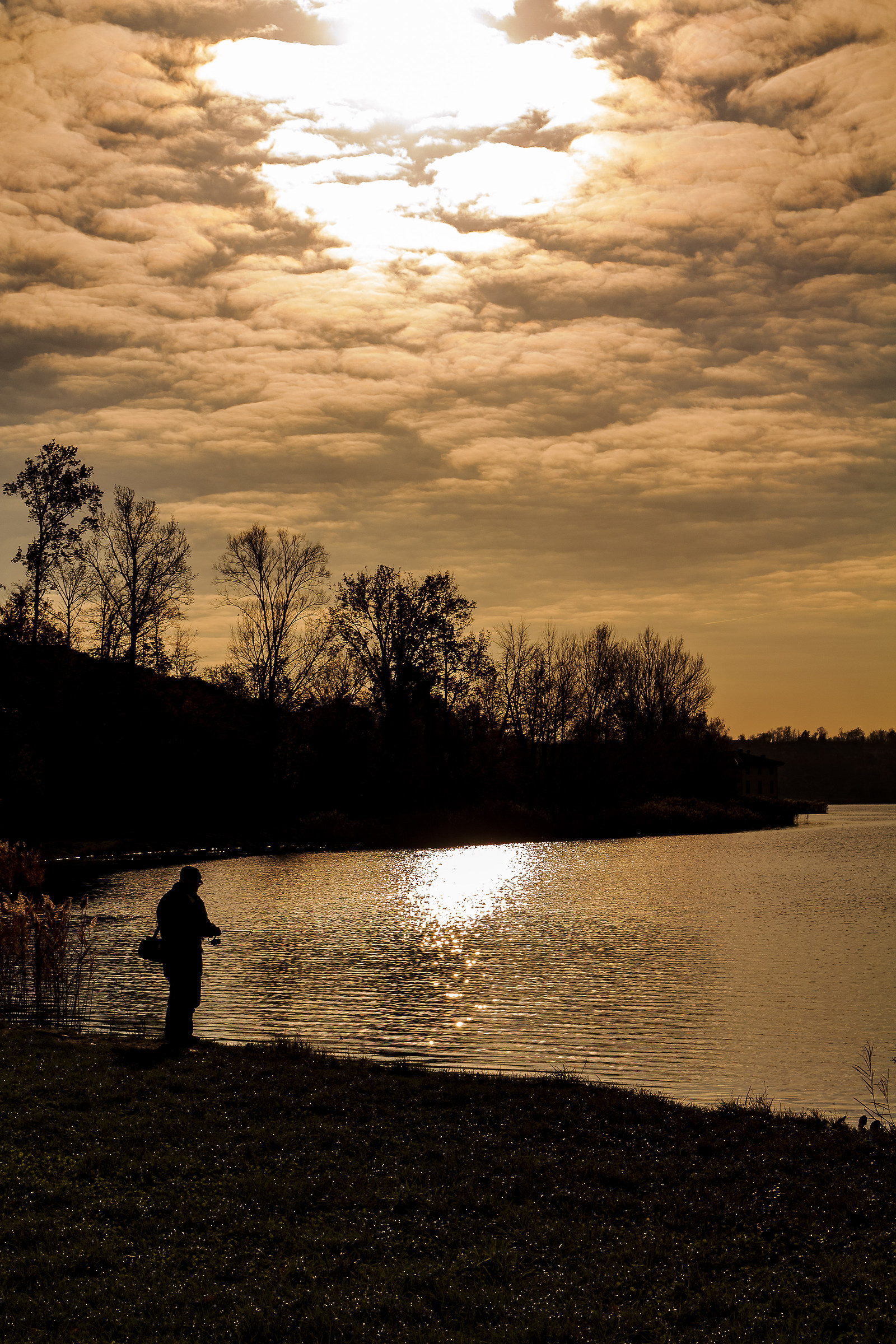 delll'ultimo sun shade ...