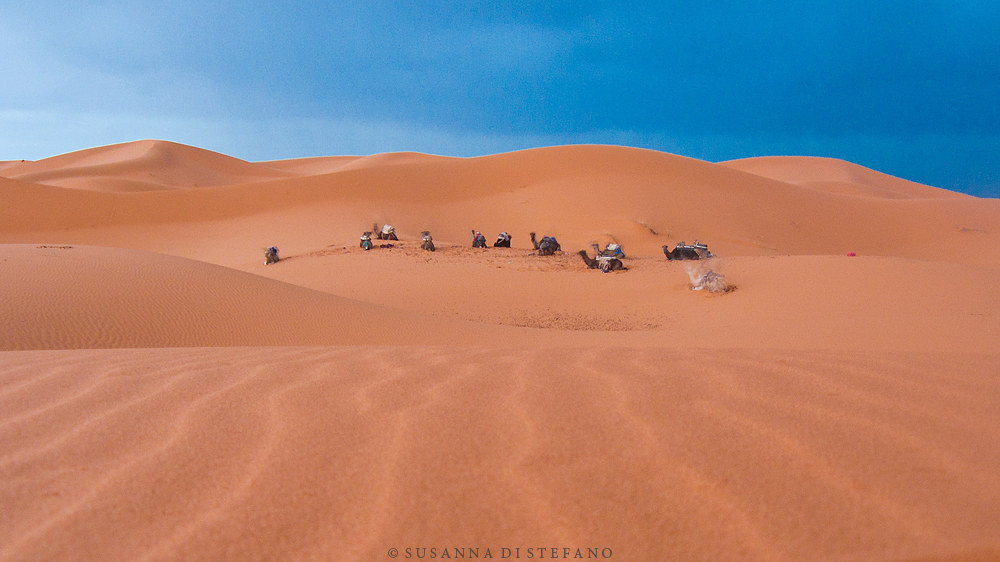 Rainy sunrise, Erg Chebbi (Sahara)
