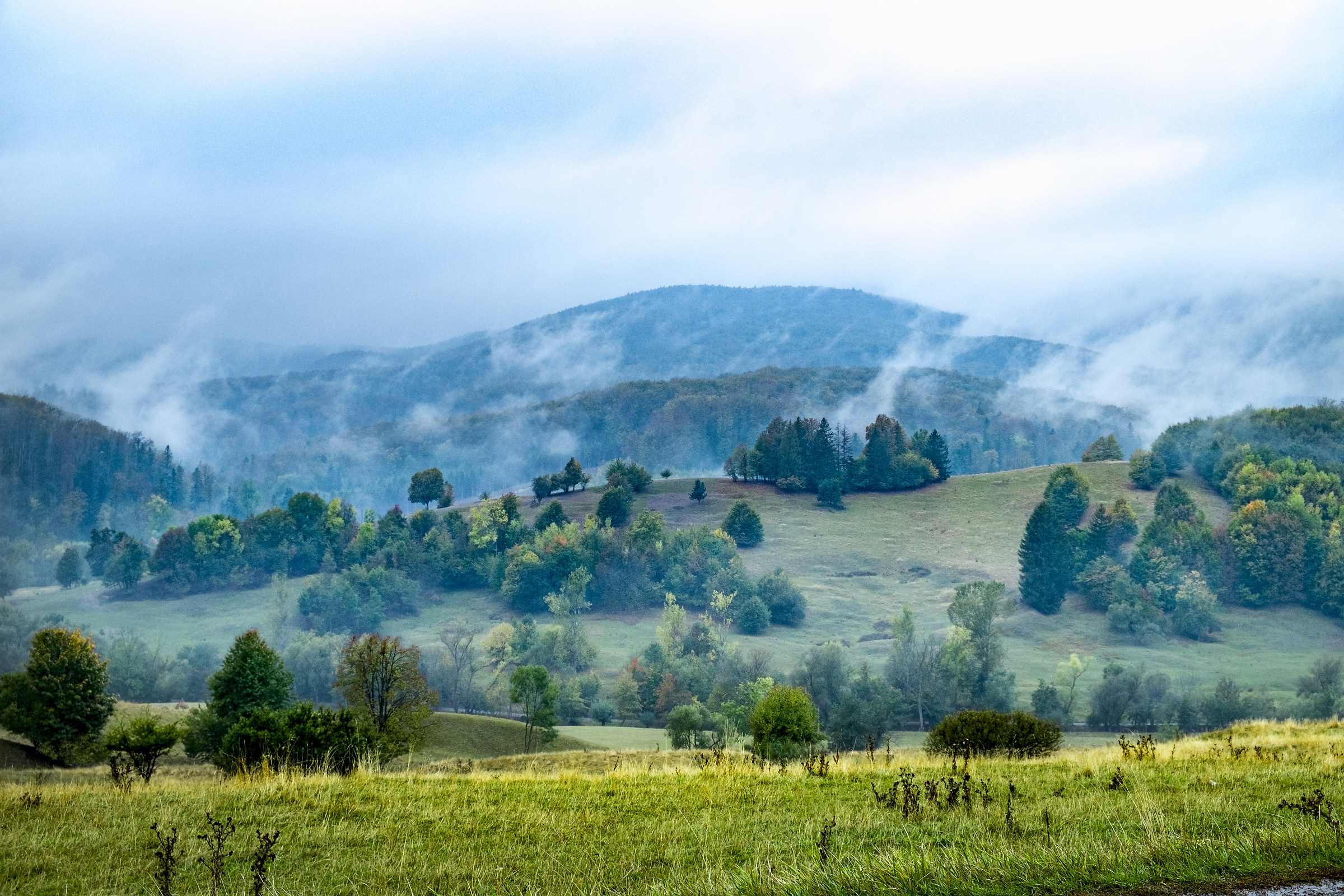 Bucovina and surroundings