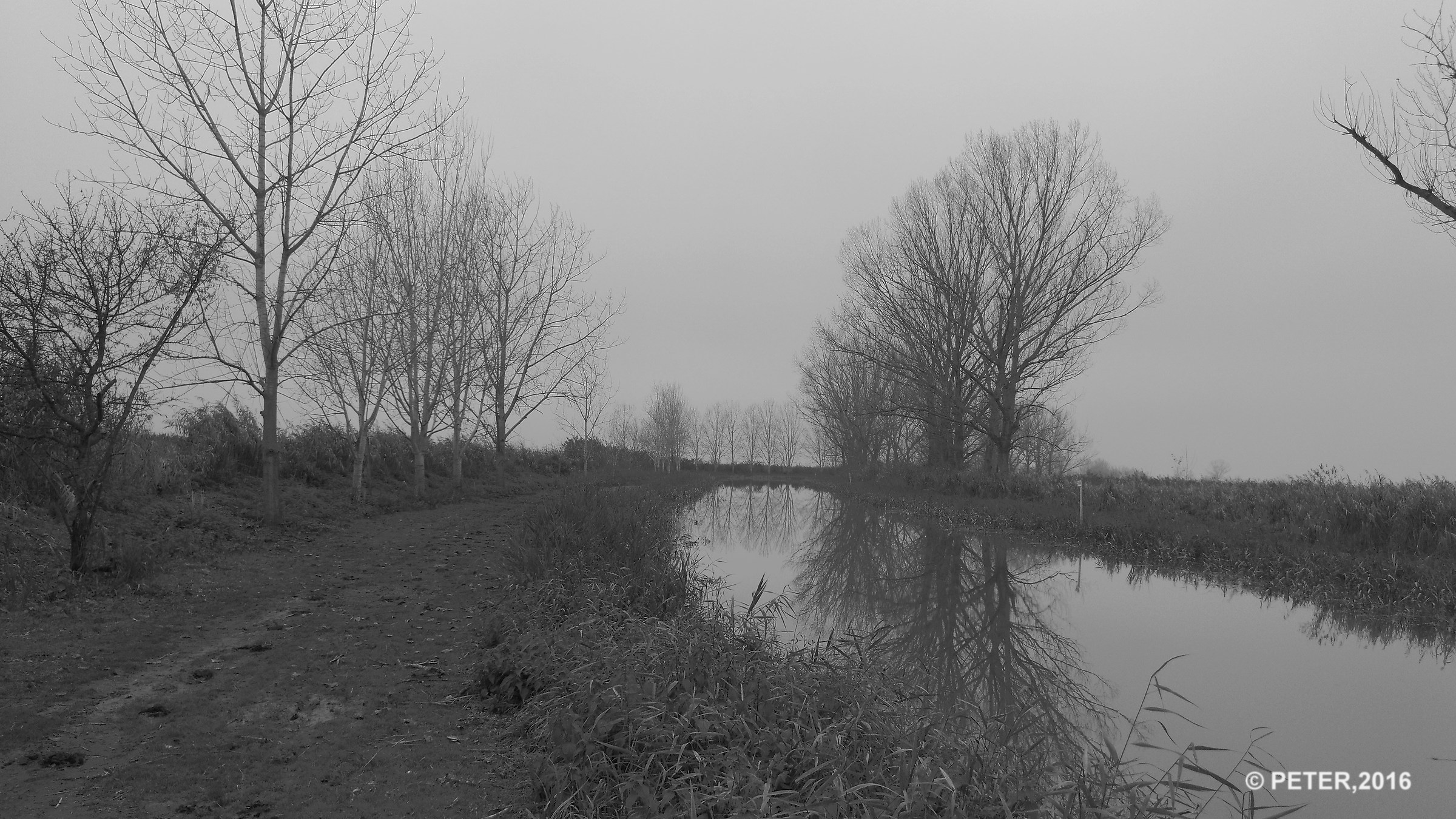 Sentiero per l'osservatorio