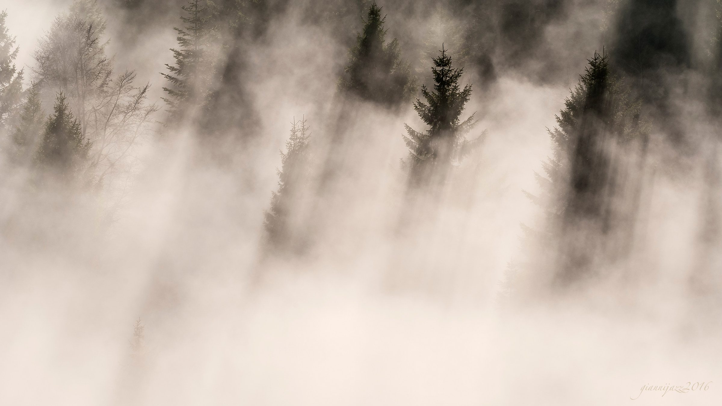autumn fog on Monte Grappa