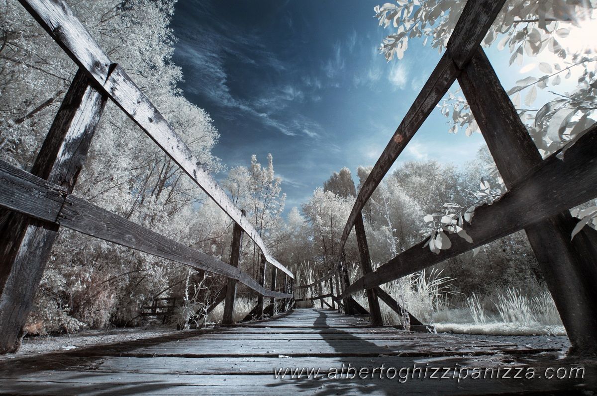 Le vie del bosco magico