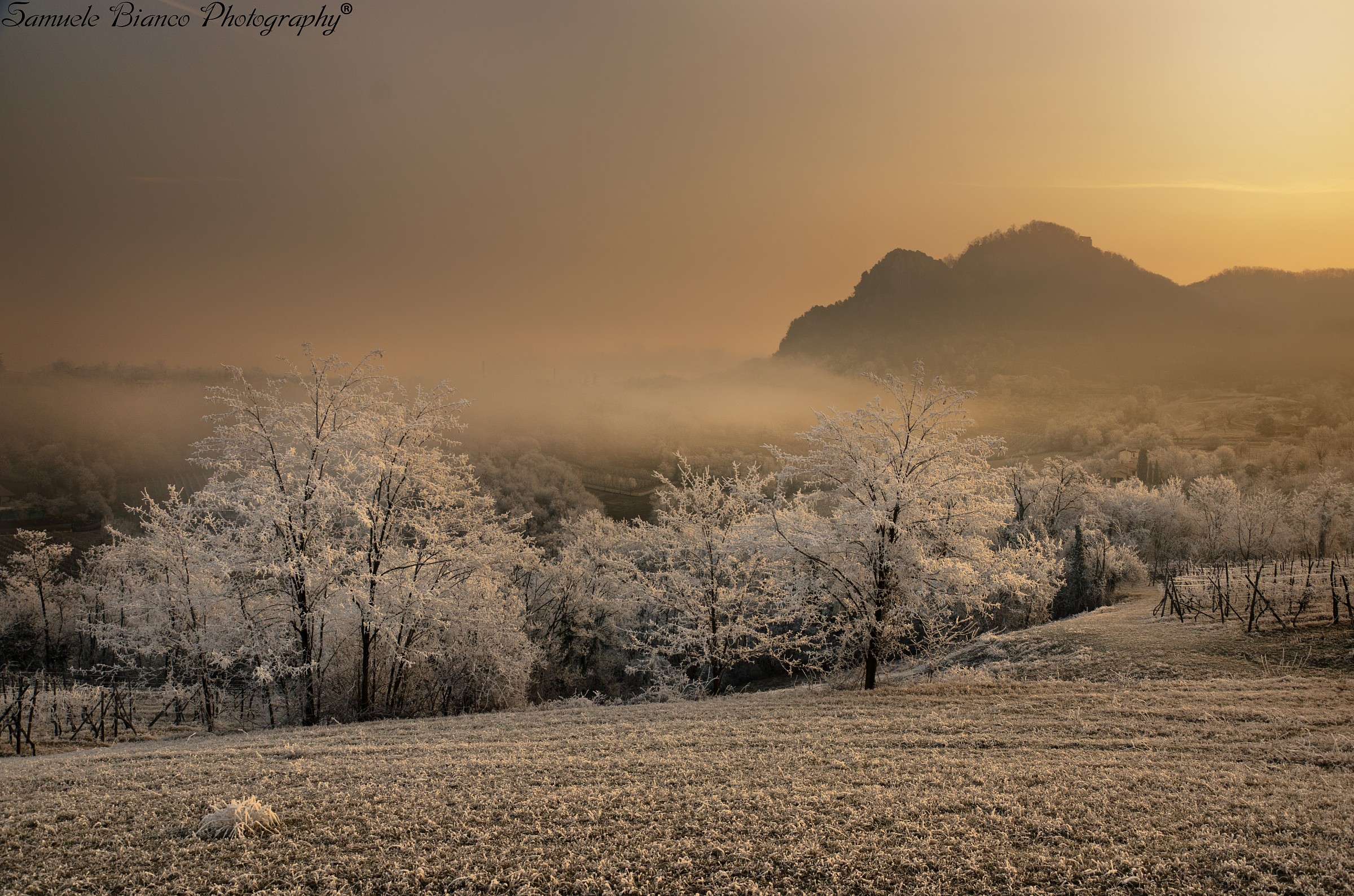 A Frozen Dawn Euganean Hills