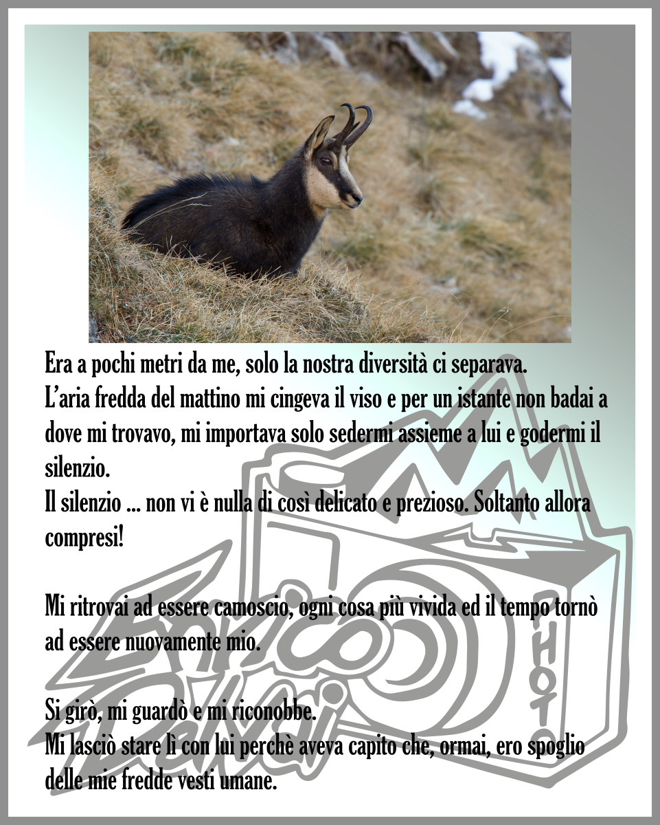 Seduti nel silenzio...