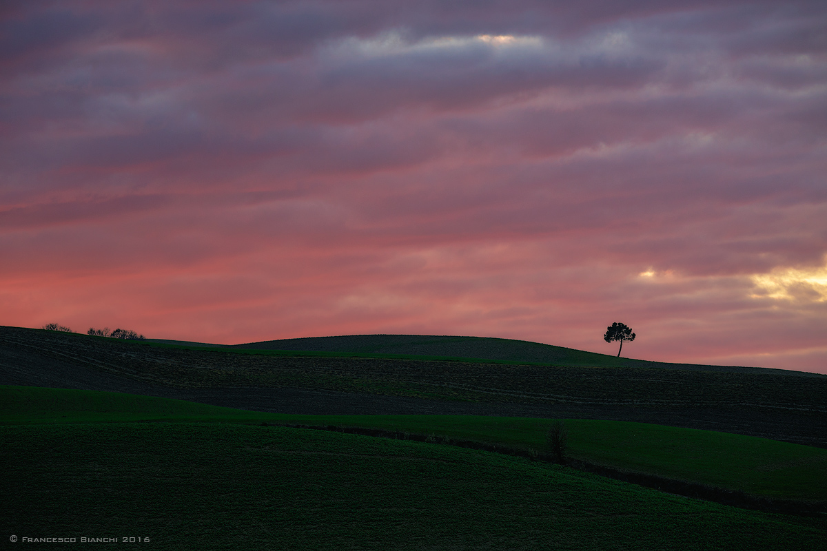 Under a blood red sky