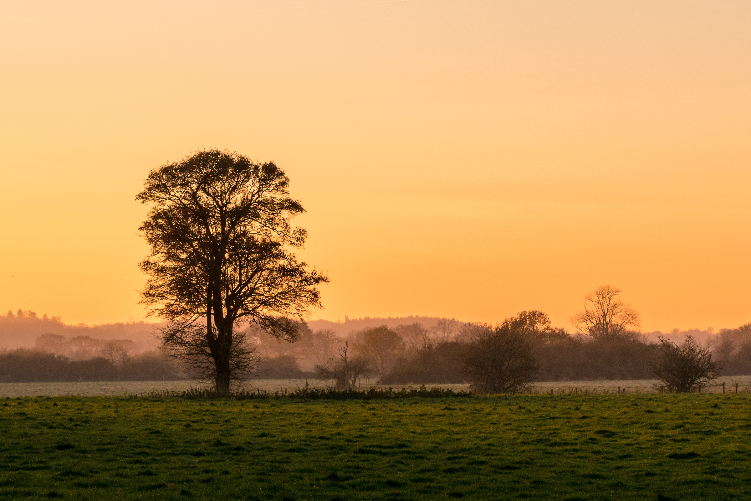 As The Daylight Fades