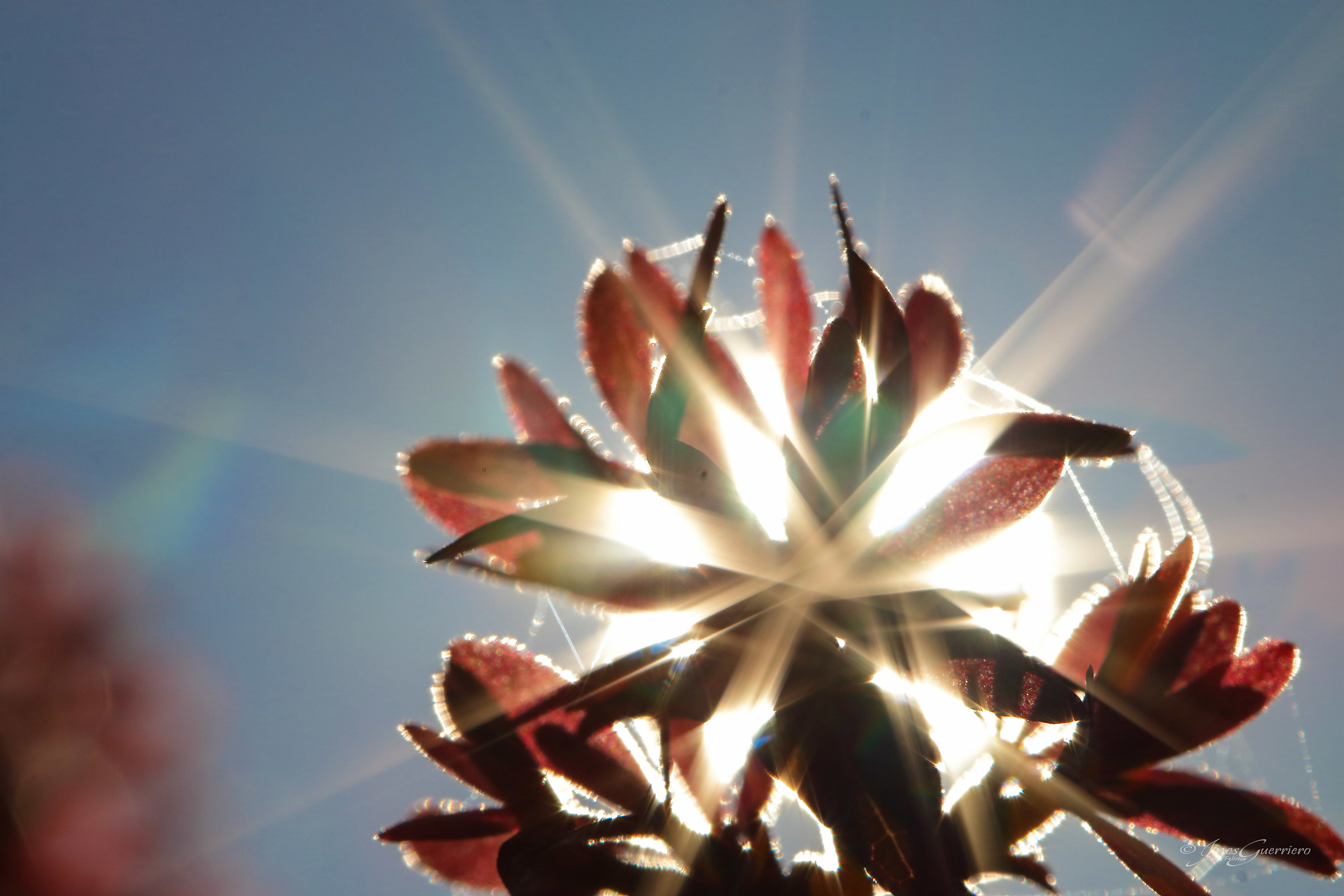 Avvolto nel caldo abbraccio del sole